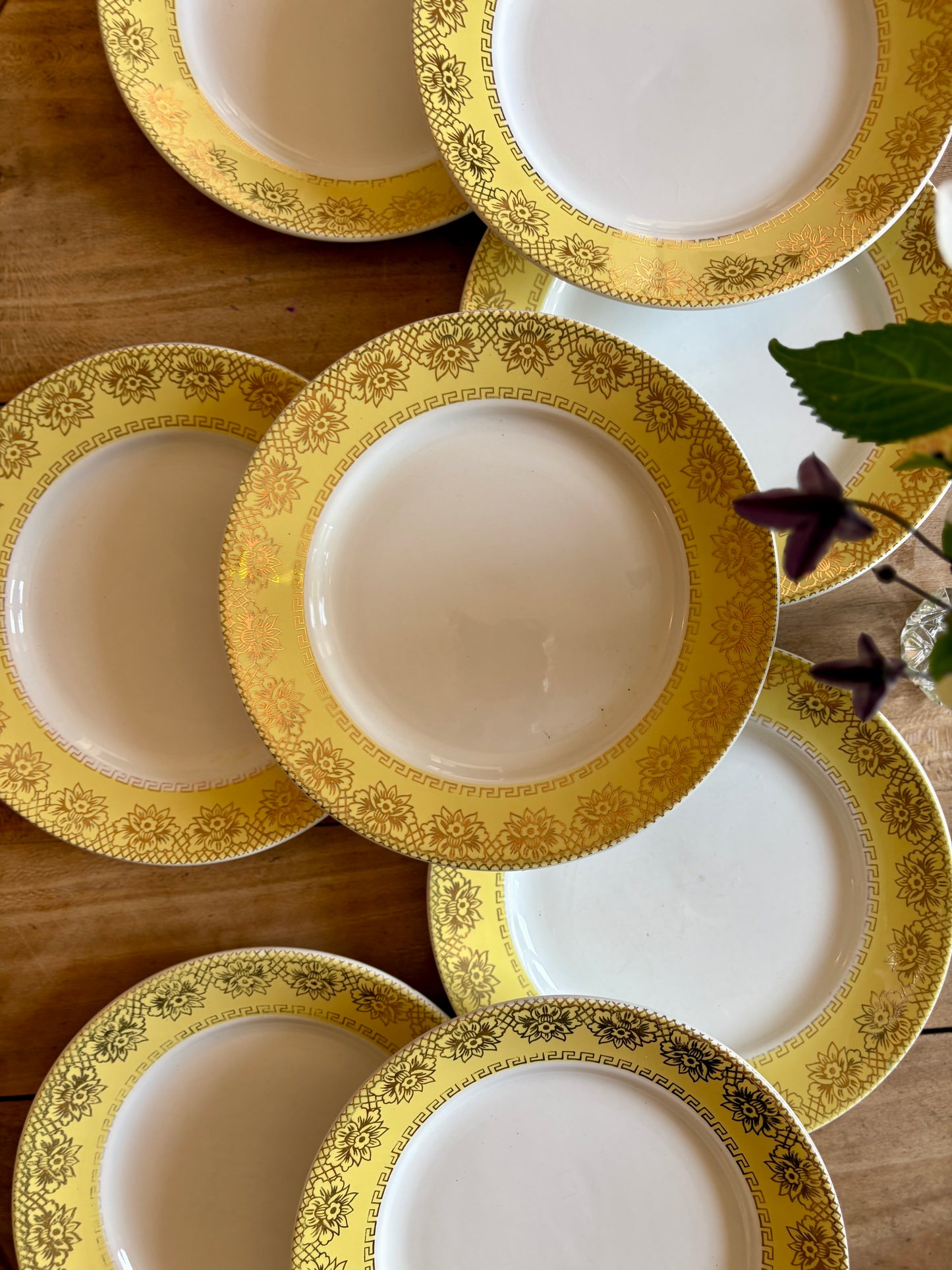Lot de 10 assiettes plates vintage blanches, jaunes et dorées