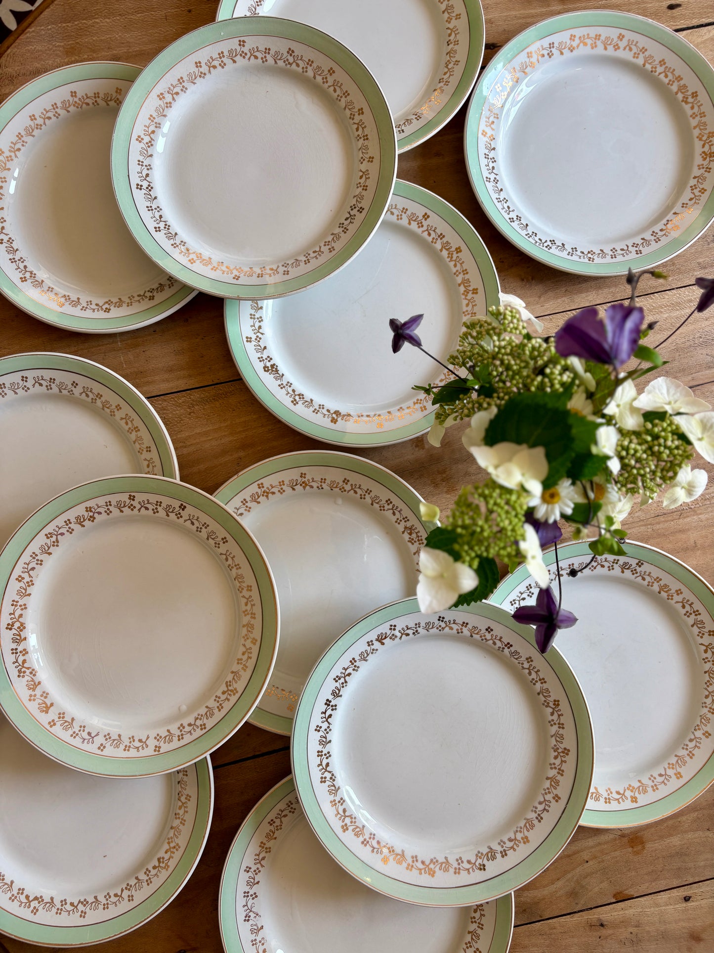 Lot de 12 assiettes plates blanches, mint et dorées, modèle Mosèle de Lunéville