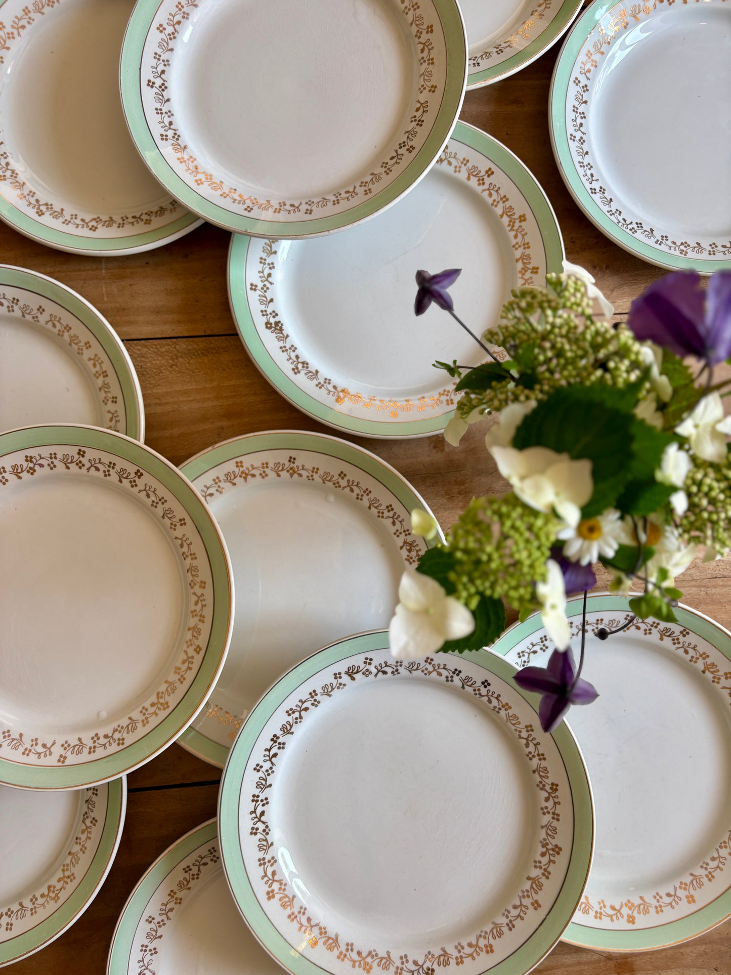 Lot de 12 assiettes plates blanches, mint et dorées, modèle Mosèle de Lunéville