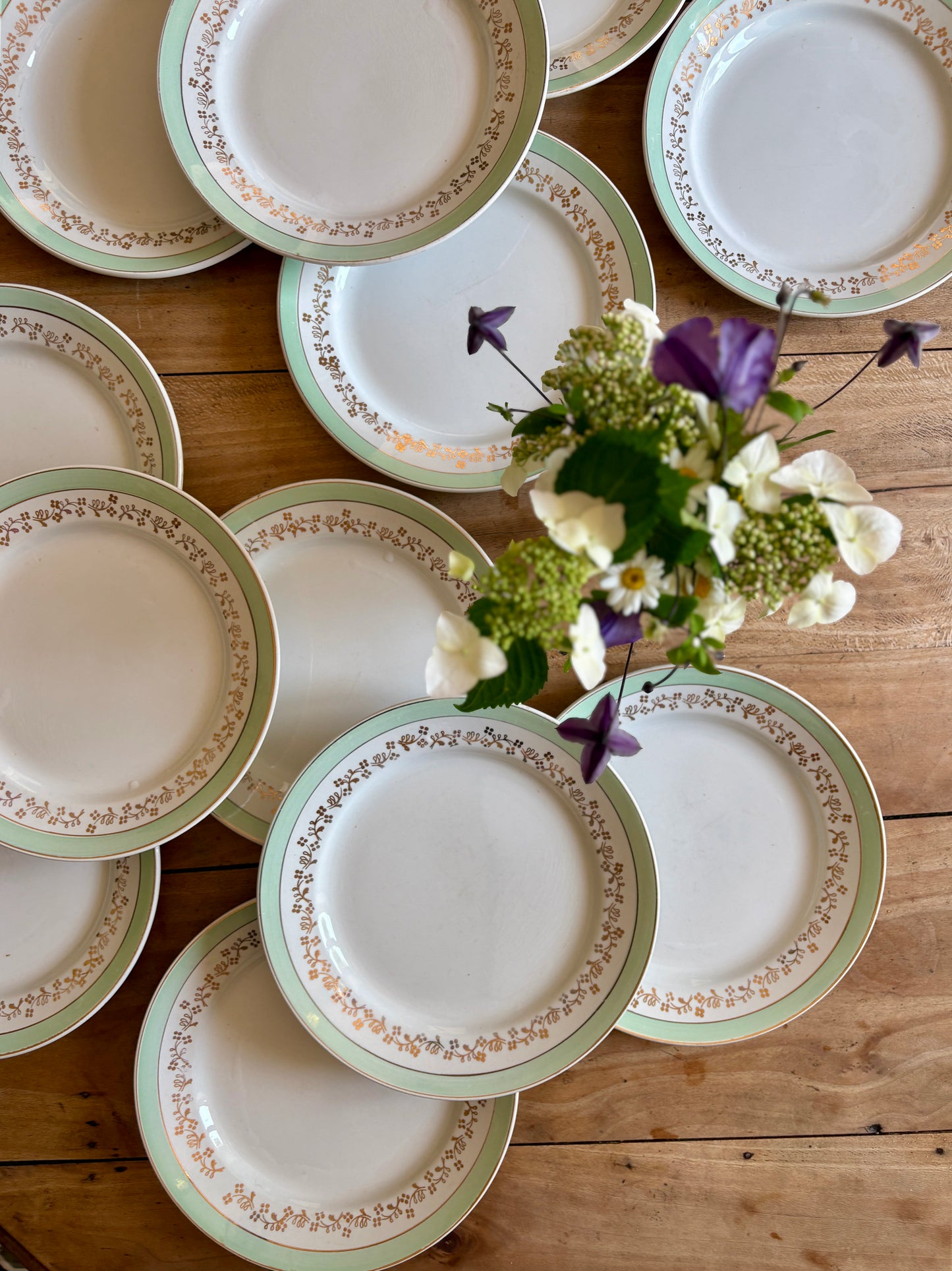 Lot de 12 assiettes plates blanches, mint et dorées, modèle Mosèle de Lunéville