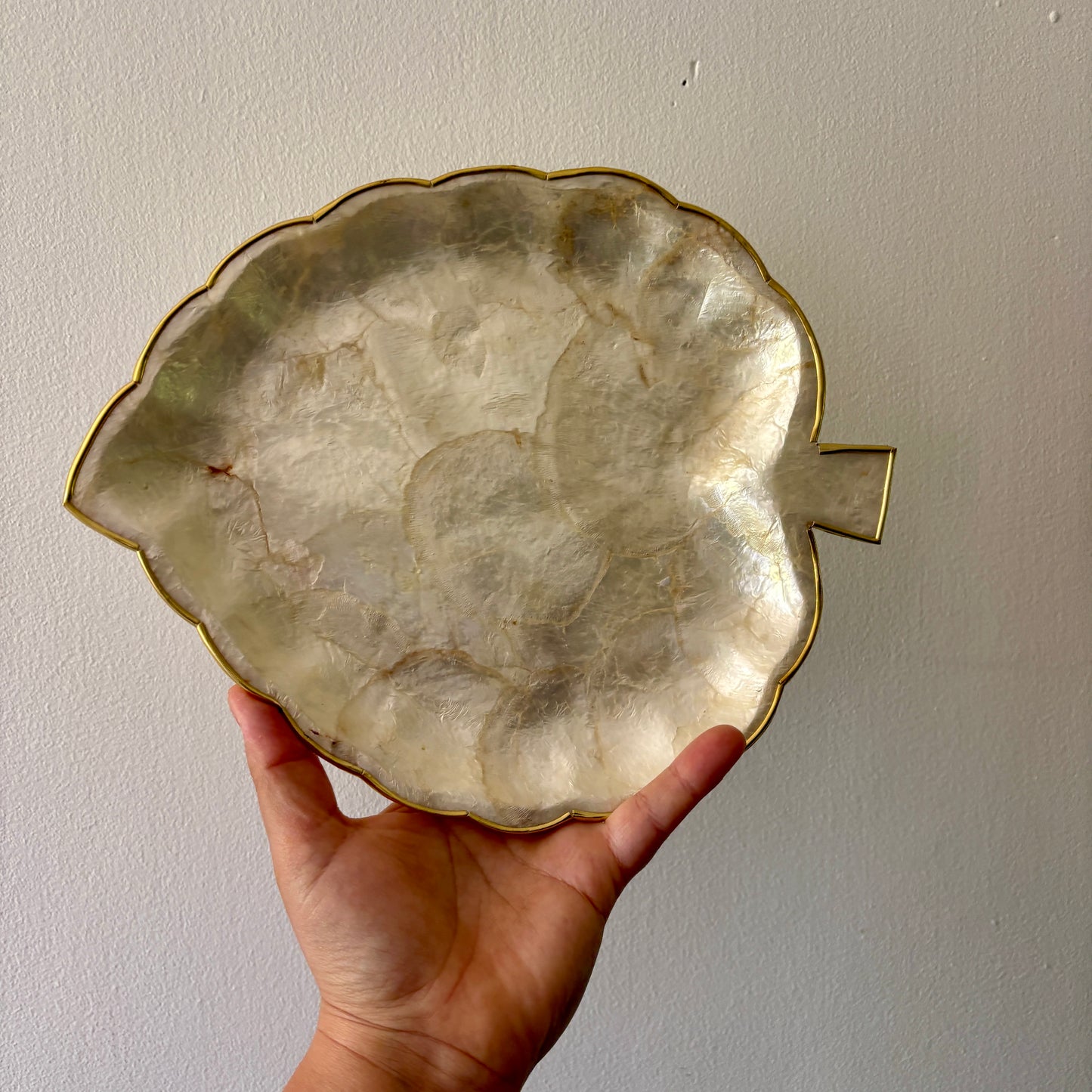 Lot de plats vintage en nacre et laiton