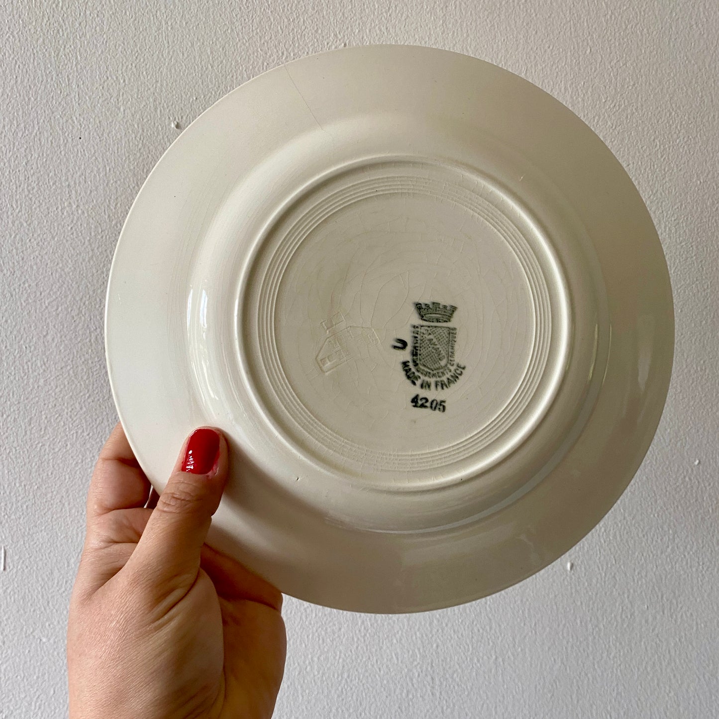 Lot de 10 assiettes plates vintage en terre de fer de la manufacture Saint Amand.