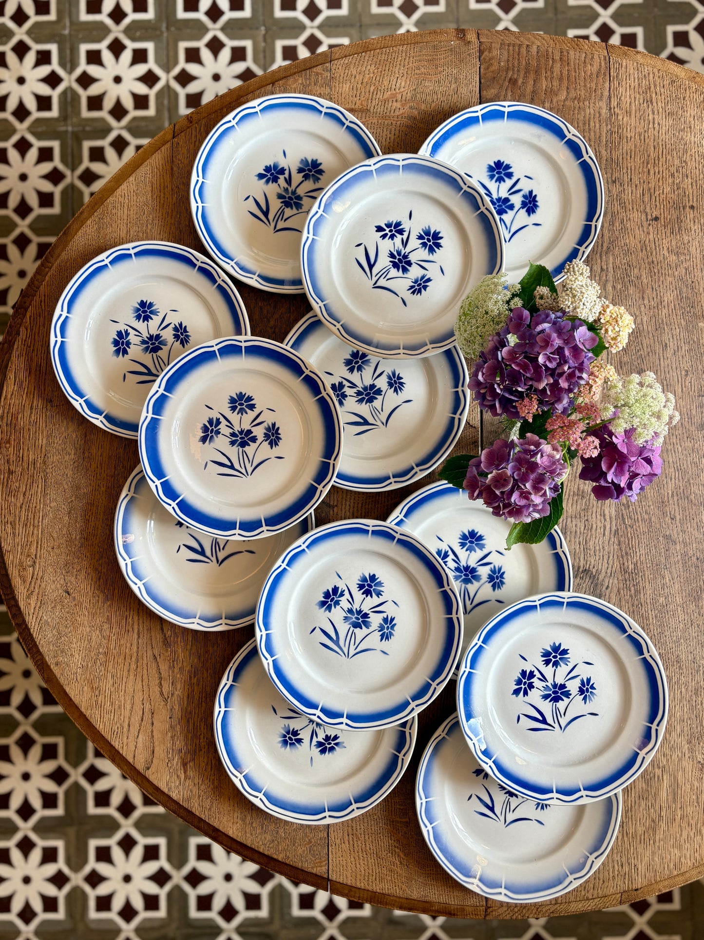 Lot de 12 assiettes plates anciennes, décors de fleurs bleues
