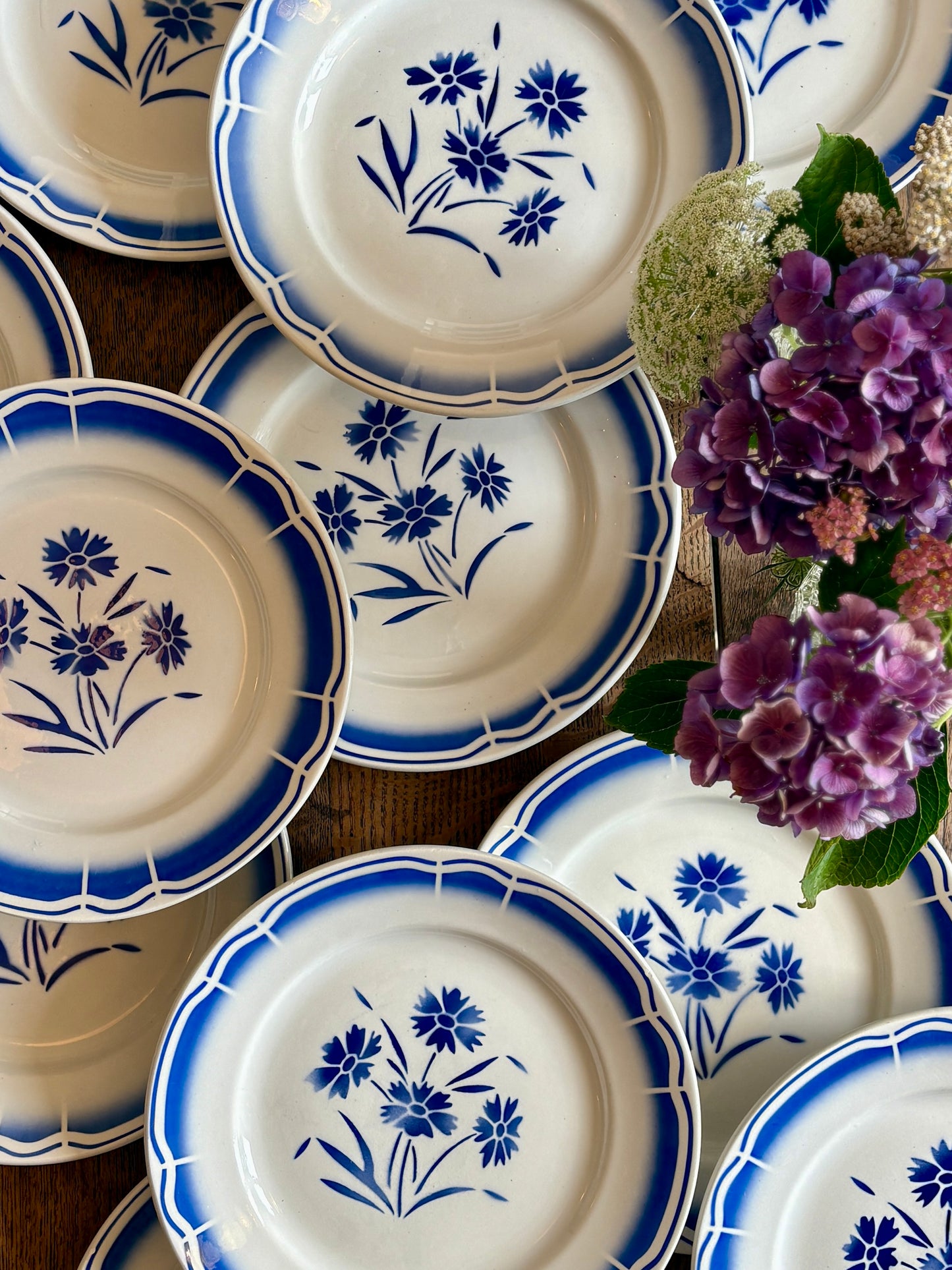 Lot de 12 assiettes plates anciennes, décors de fleurs bleues