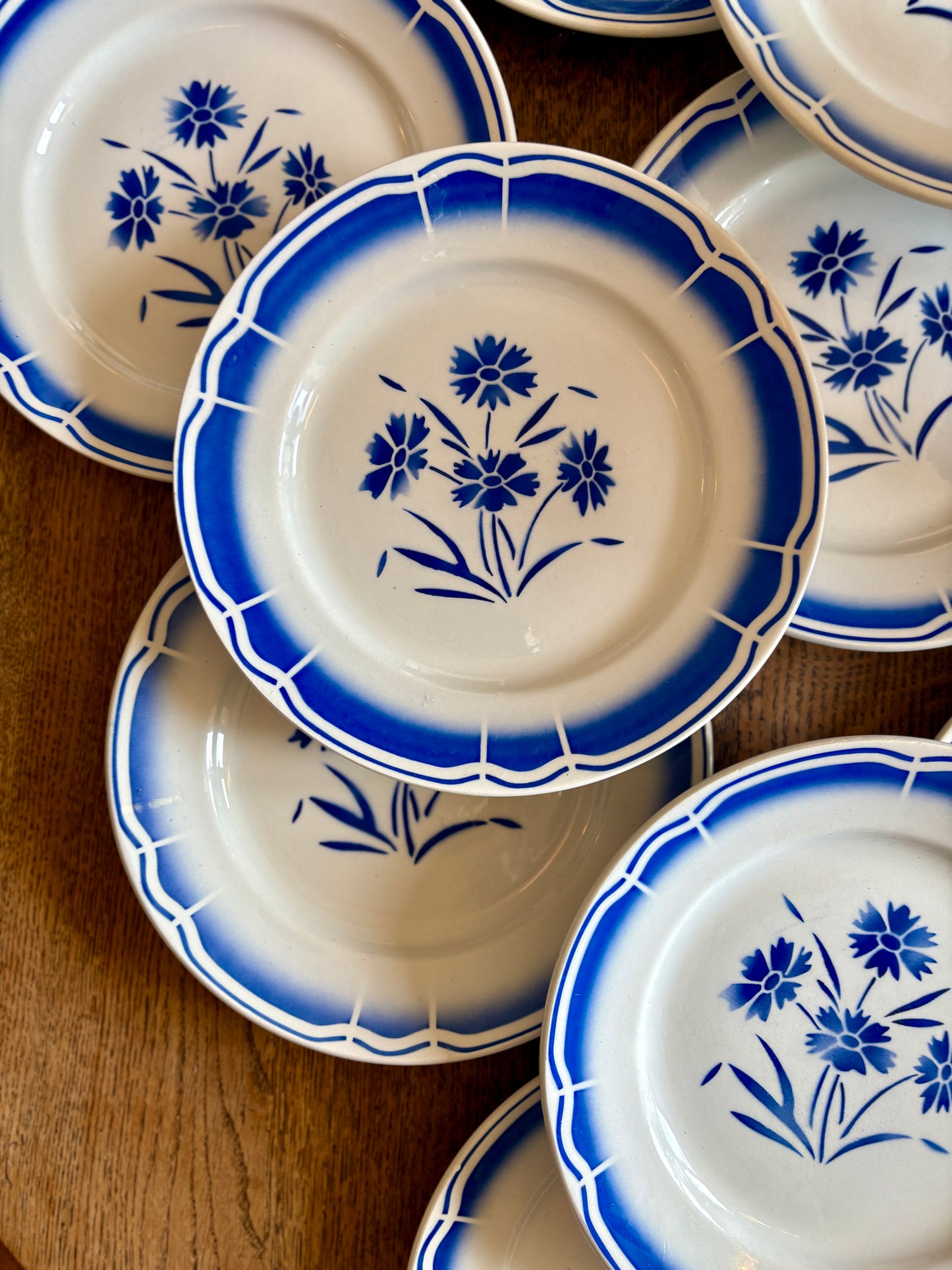 Lot de 12 assiettes plates anciennes, décors de fleurs bleues