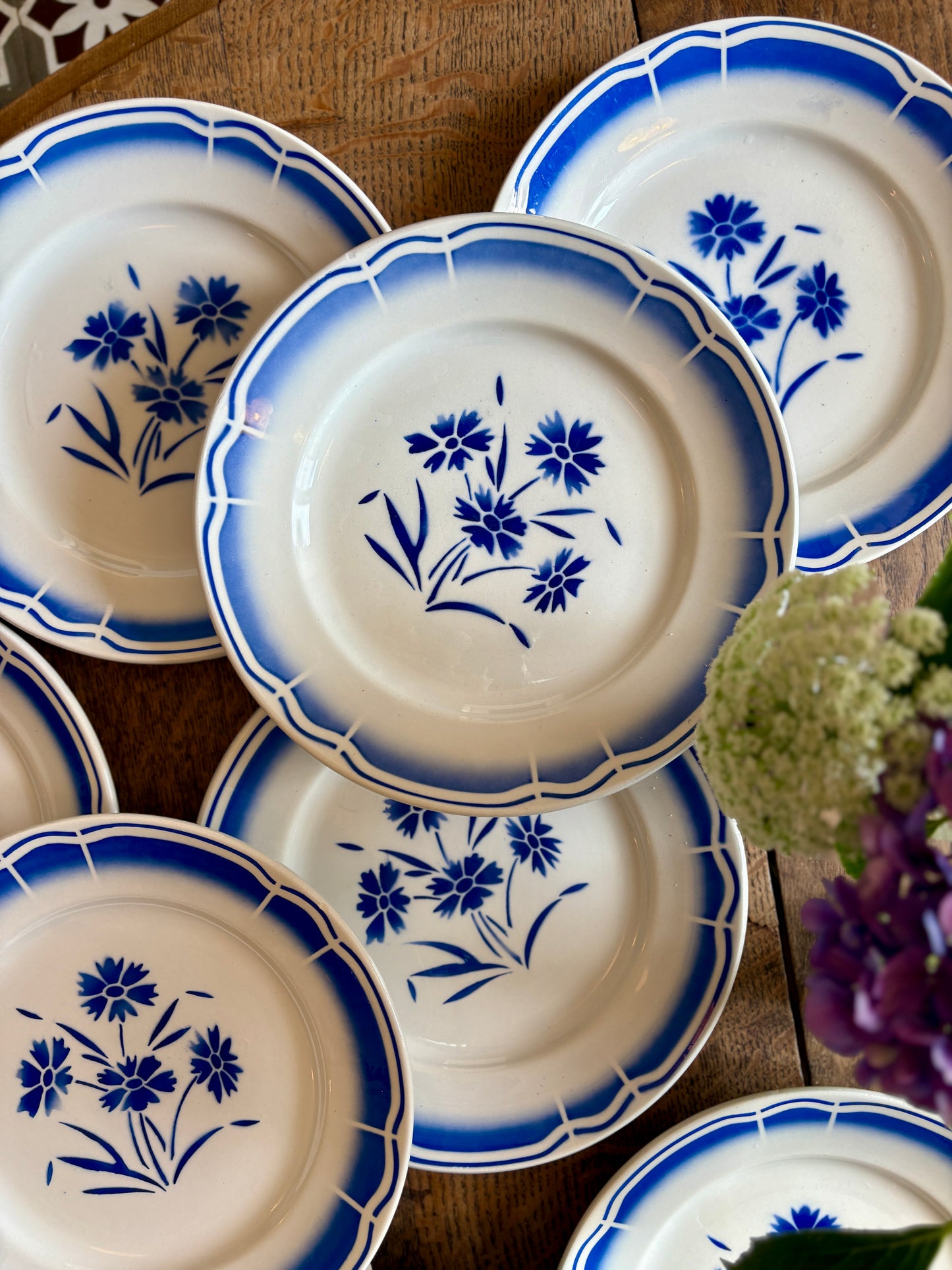 Lot de 12 assiettes plates anciennes, décors de fleurs bleues