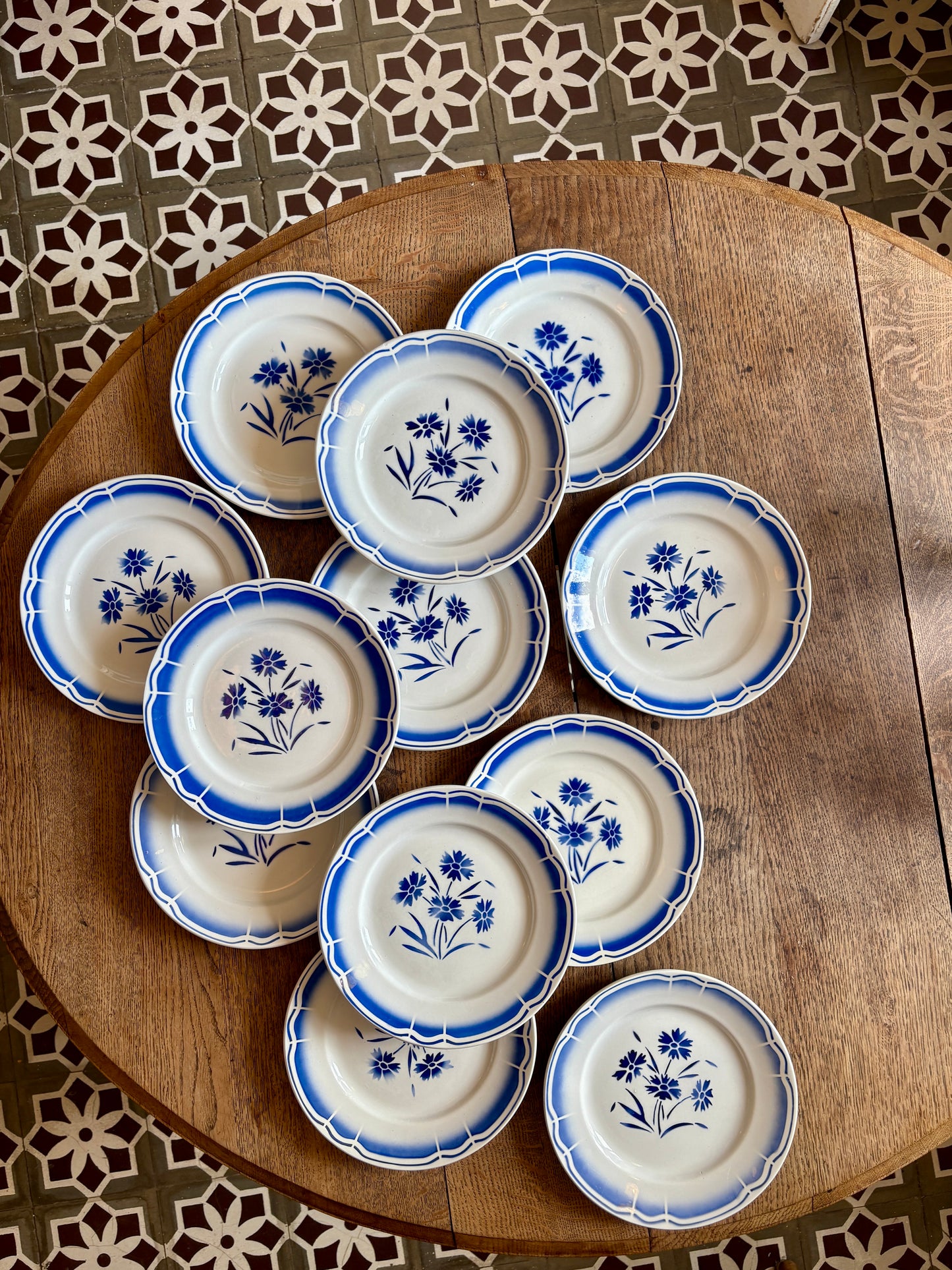 Lot de 12 assiettes plates anciennes, décors de fleurs bleues