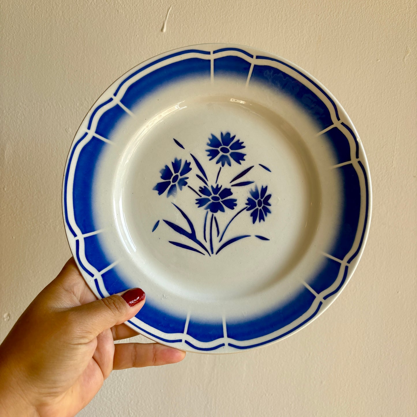 Lot de 12 assiettes plates anciennes, décors de fleurs bleues