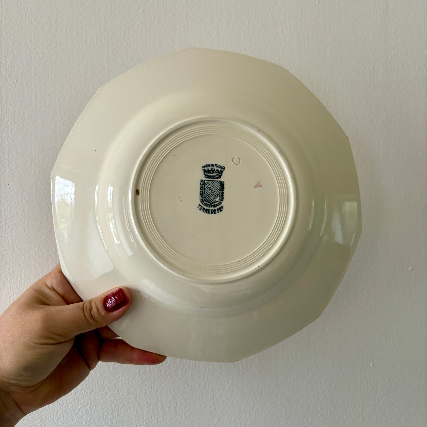 Lot de 10 assiettes creuses anciennes - Saint Amand en terre de fer