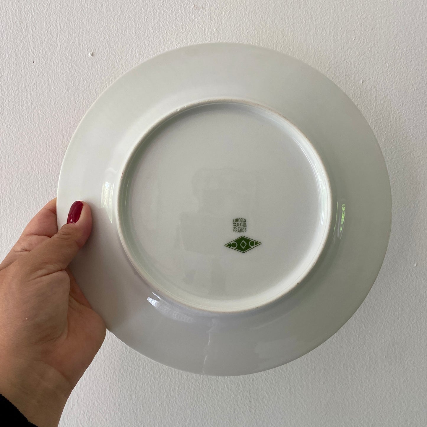 Lot de 6 assiettes plates vintage en porcelaine de Limoge