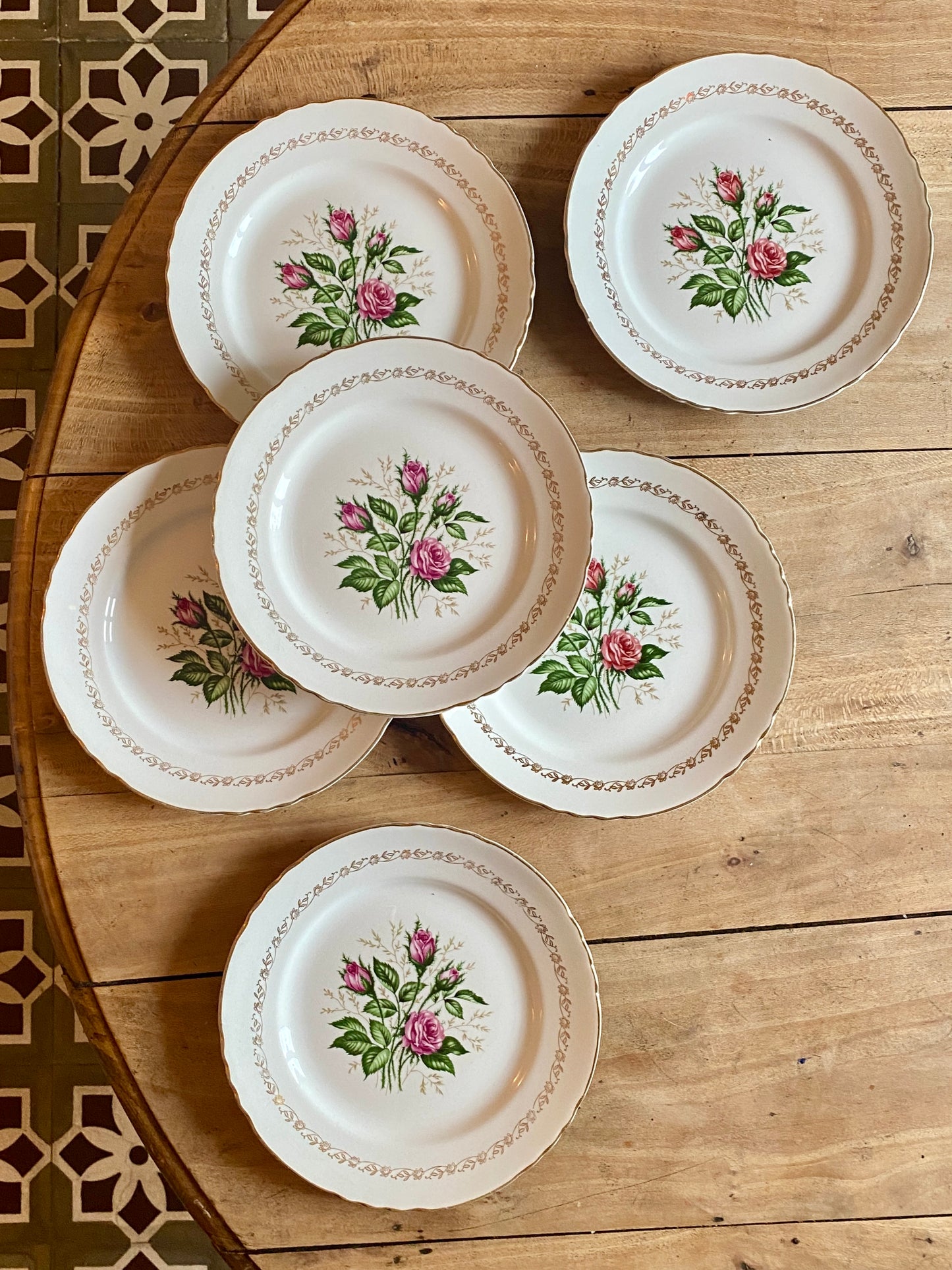 Lot de 6 assiettes plates vintage - modèle Maintenon de Moulin des Loups
