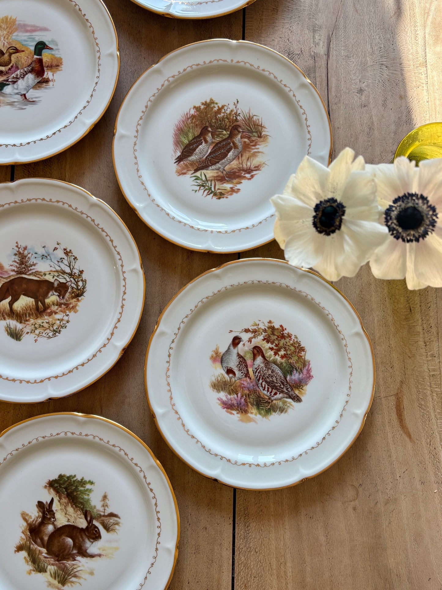 Lot de 6 assiettes à dessert vintage en porcelaine - Gibier -