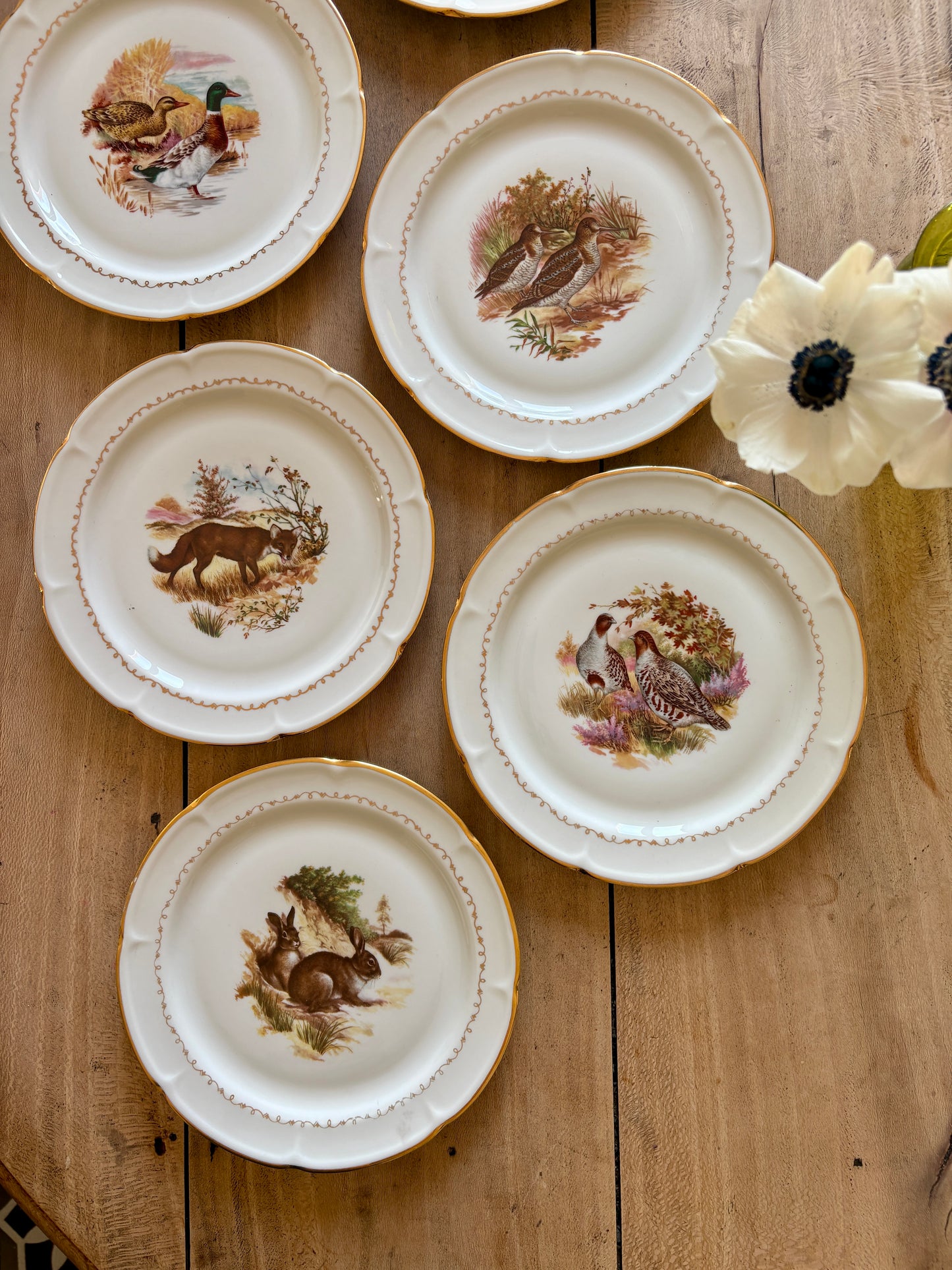Lot de 6 assiettes à dessert vintage en porcelaine - Gibier -