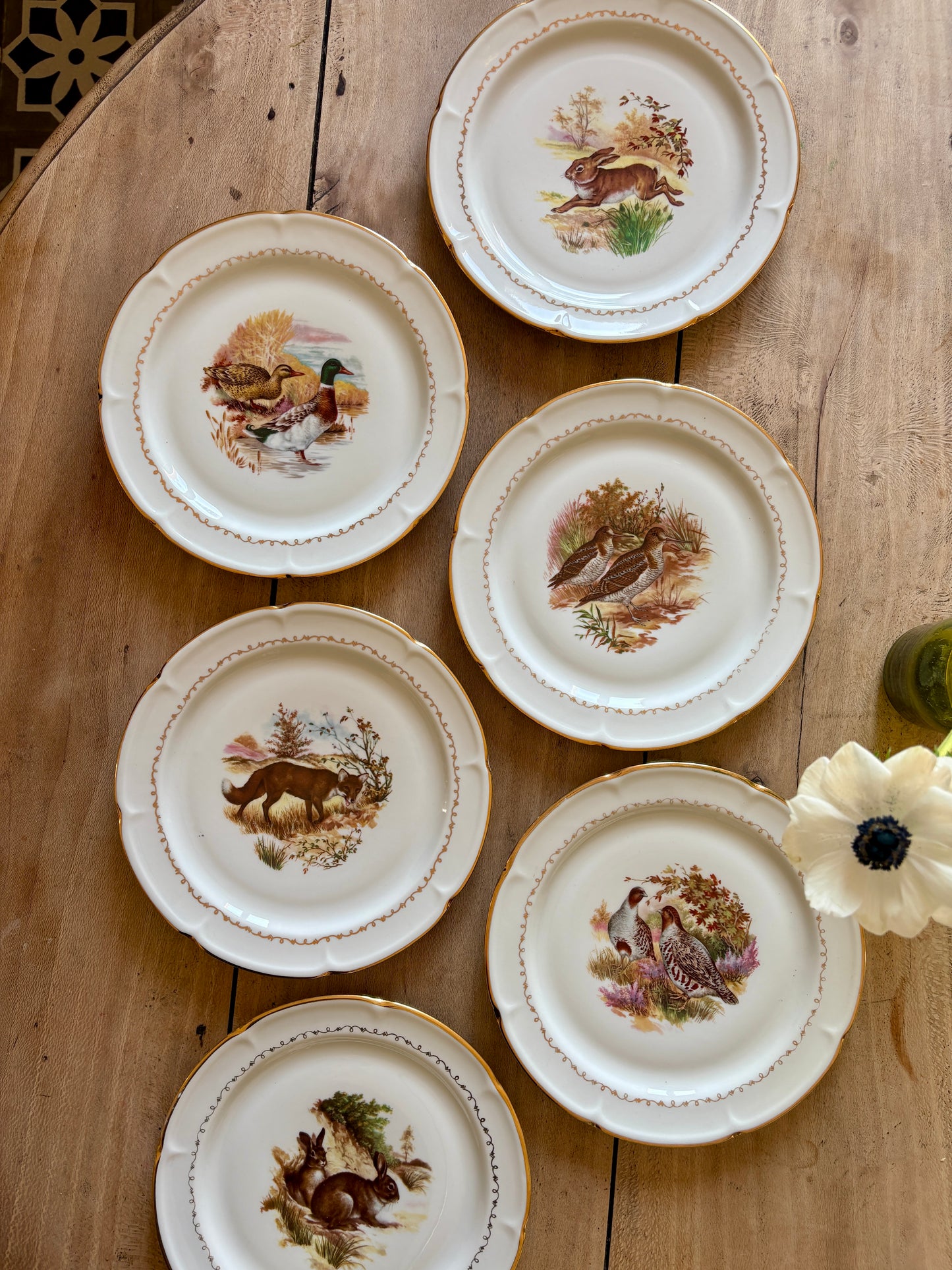 Lot de 6 assiettes à dessert vintage en porcelaine - Gibier -