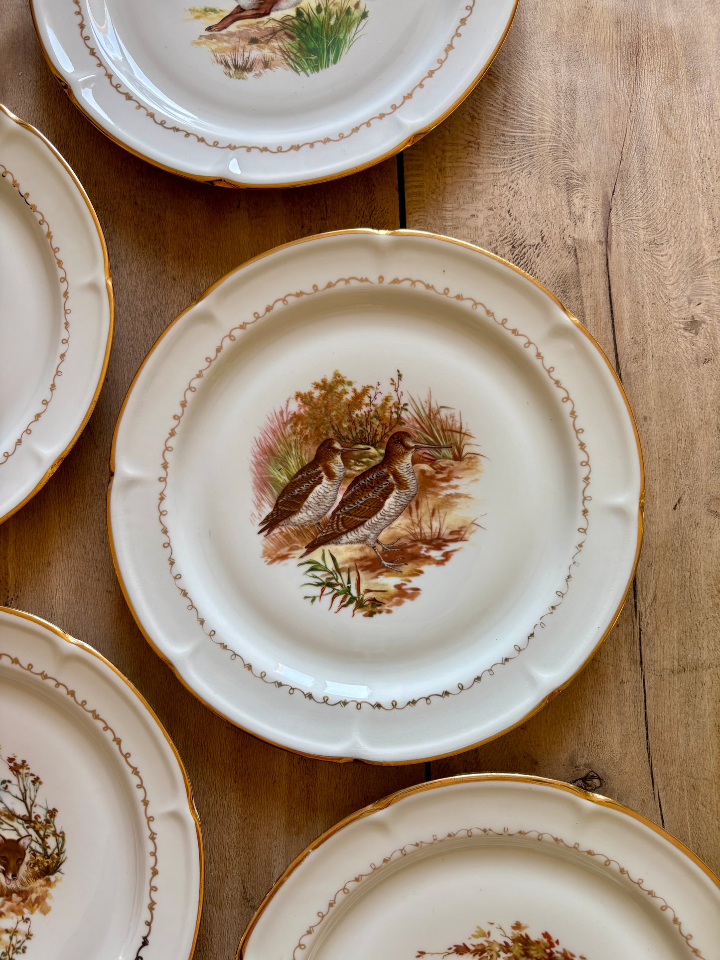 Lot de 6 assiettes à dessert vintage en porcelaine - Gibier -