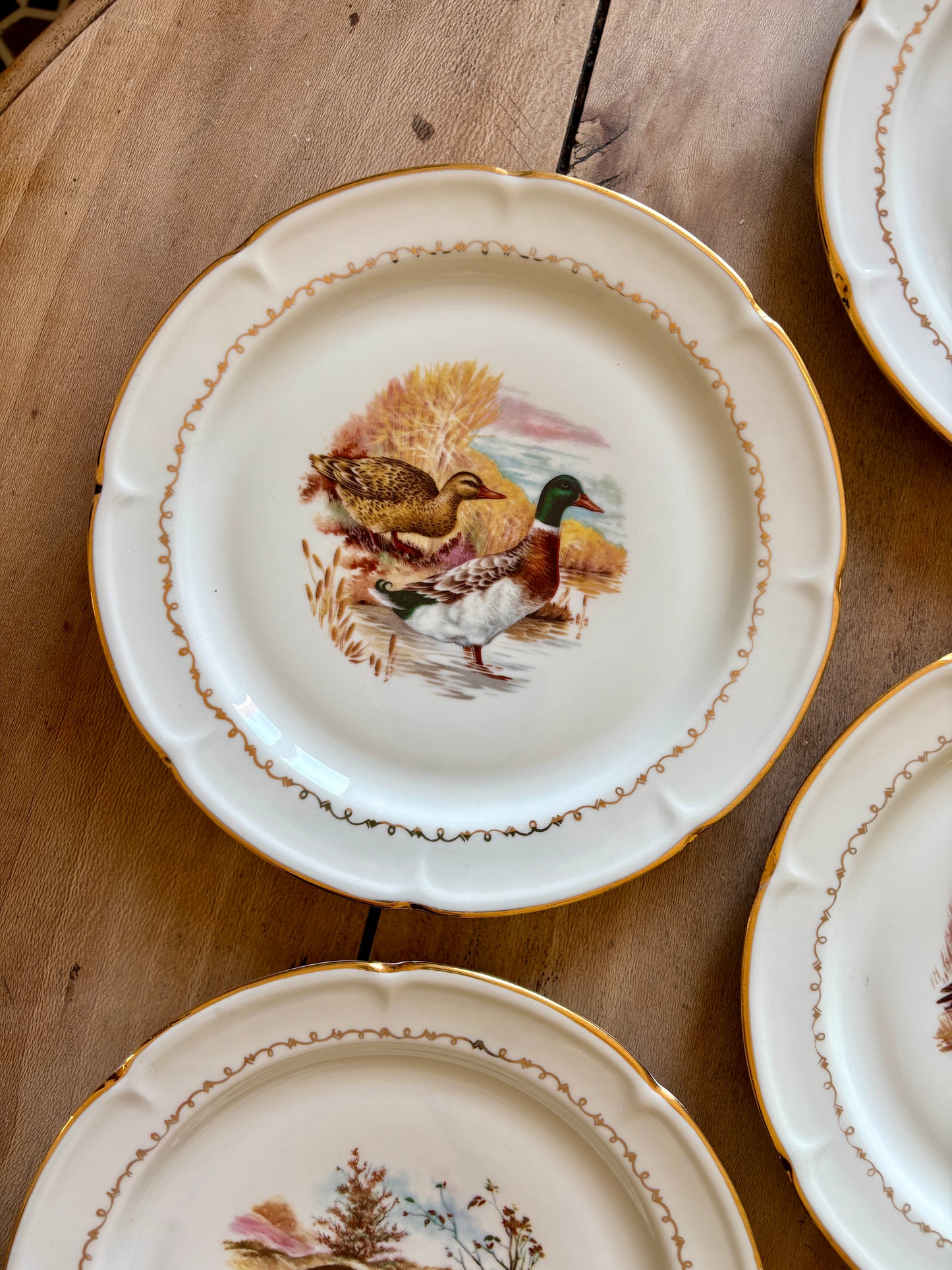 Lot de 6 assiettes à dessert vintage en porcelaine - Gibier -