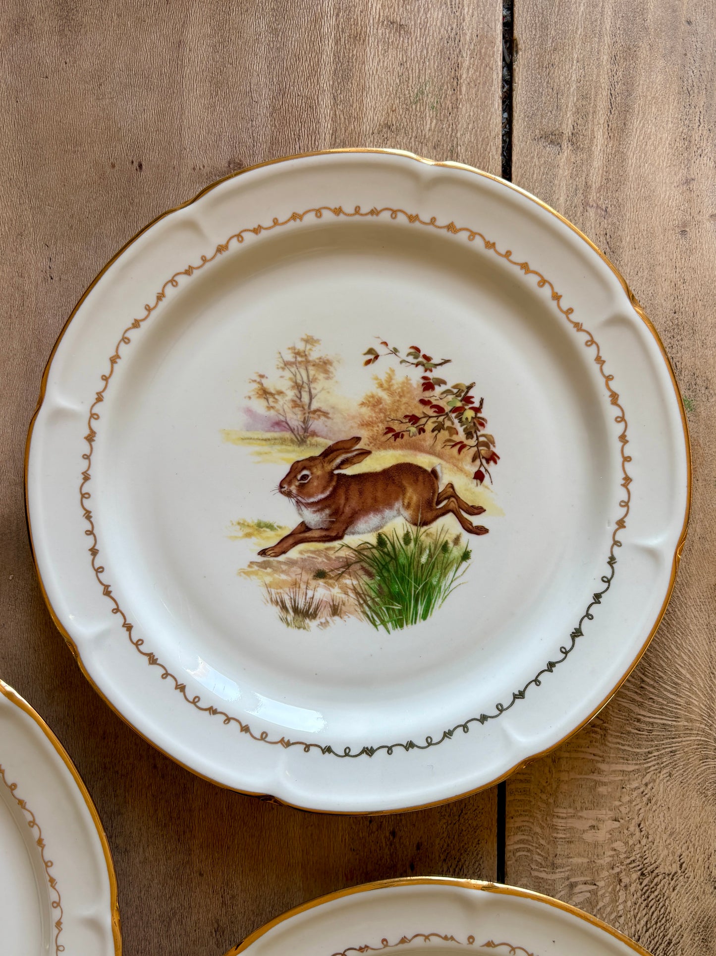 Lot de 6 assiettes à dessert vintage en porcelaine - Gibier -