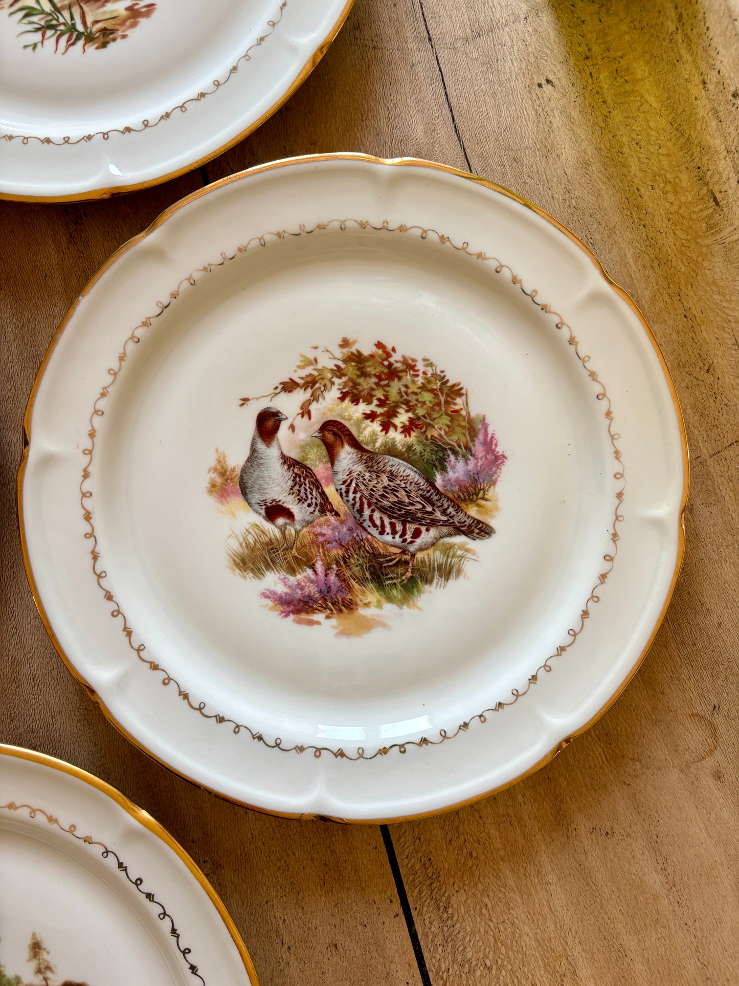 Lot de 6 assiettes à dessert vintage en porcelaine - Gibier -