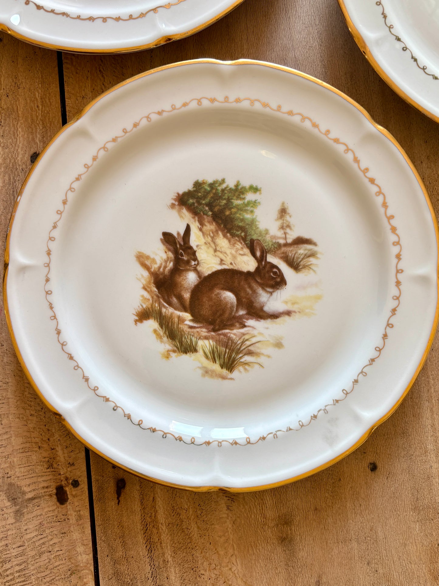 Lot de 6 assiettes à dessert vintage en porcelaine - Gibier -