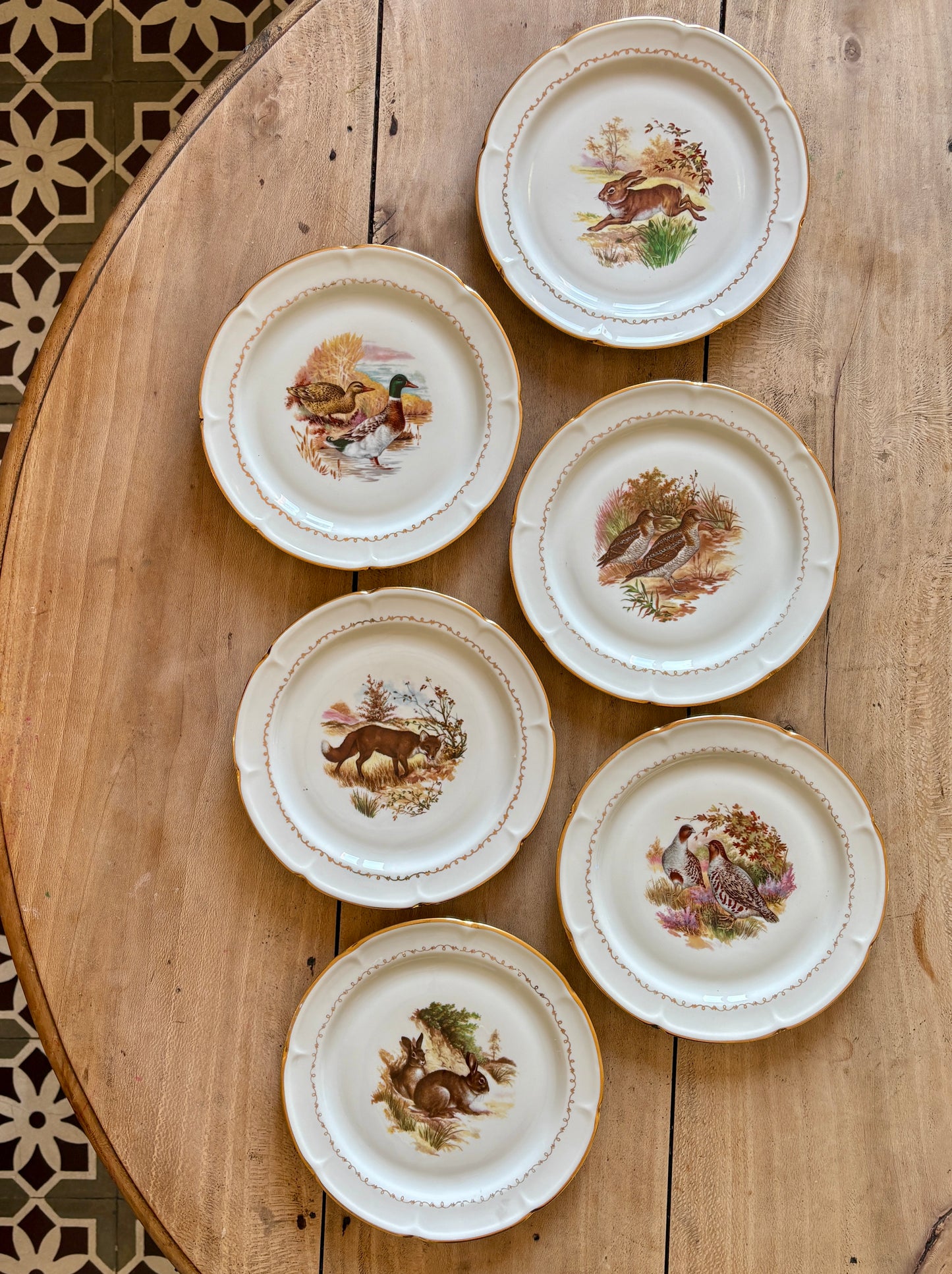 Lot de 6 assiettes à dessert vintage en porcelaine - Gibier -