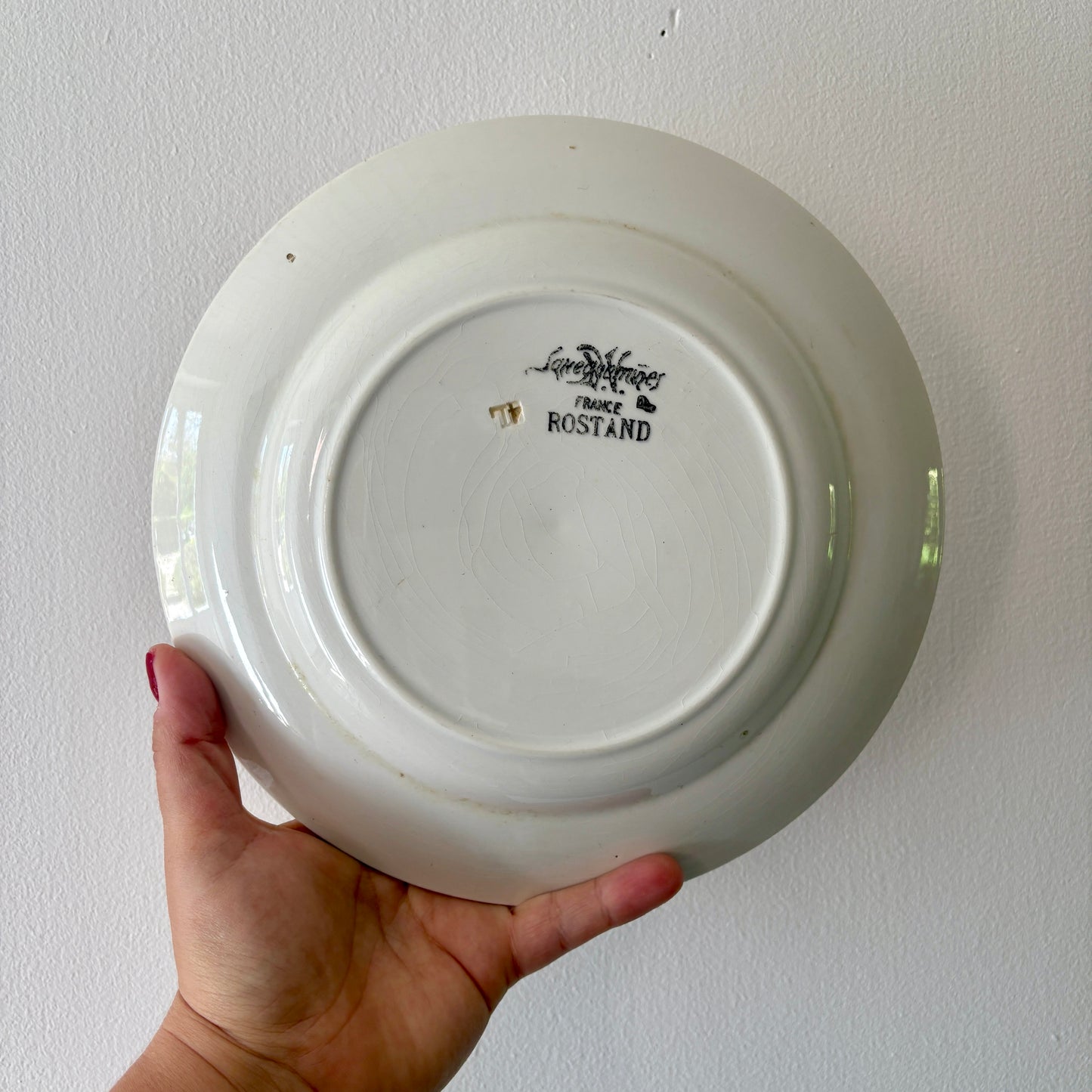 Lot de 8 assiettes plates anciennes modèle Rostand de Sarreguemines