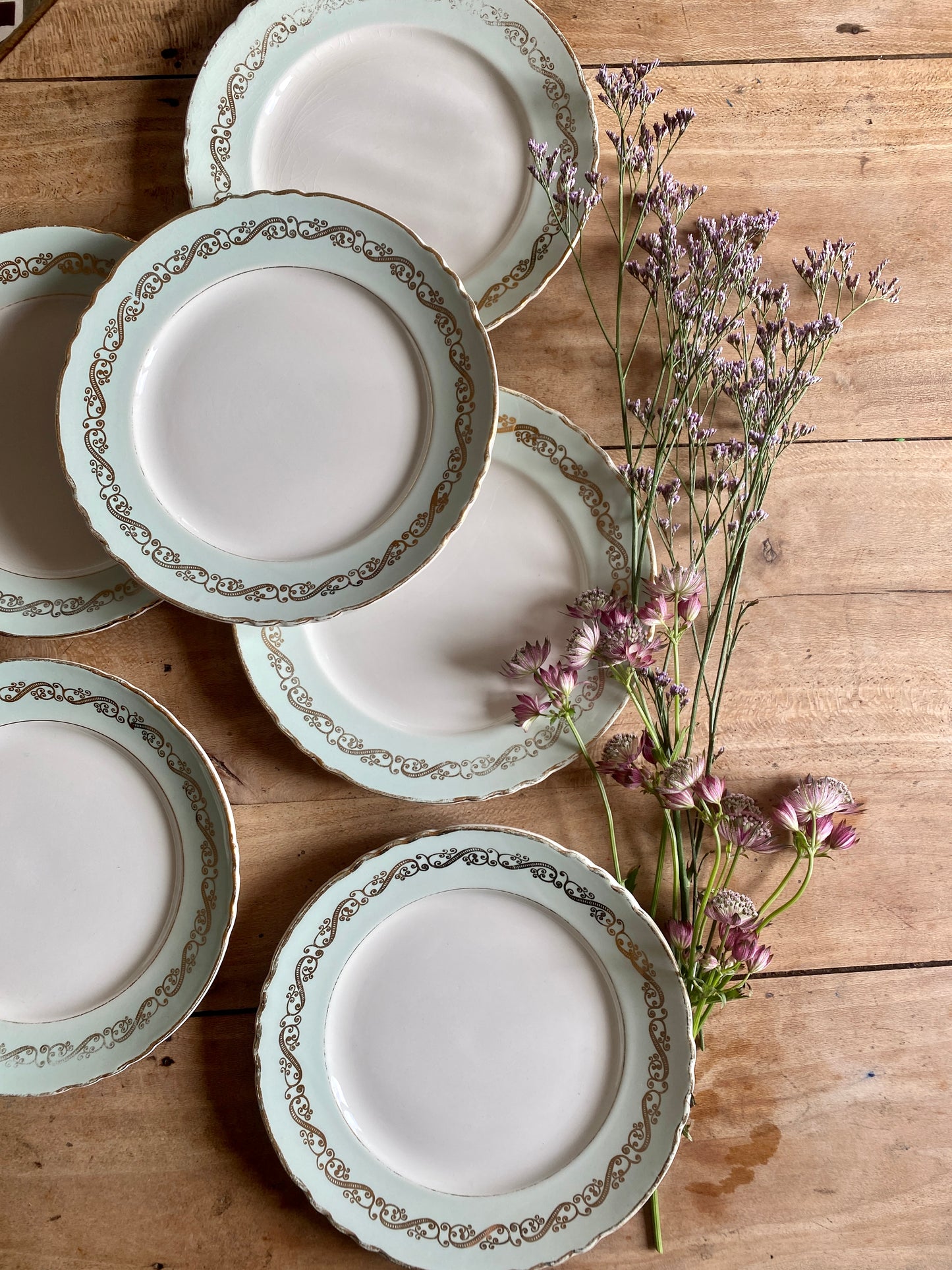 Lot de 6 assiettes plates vintage mint et dorées