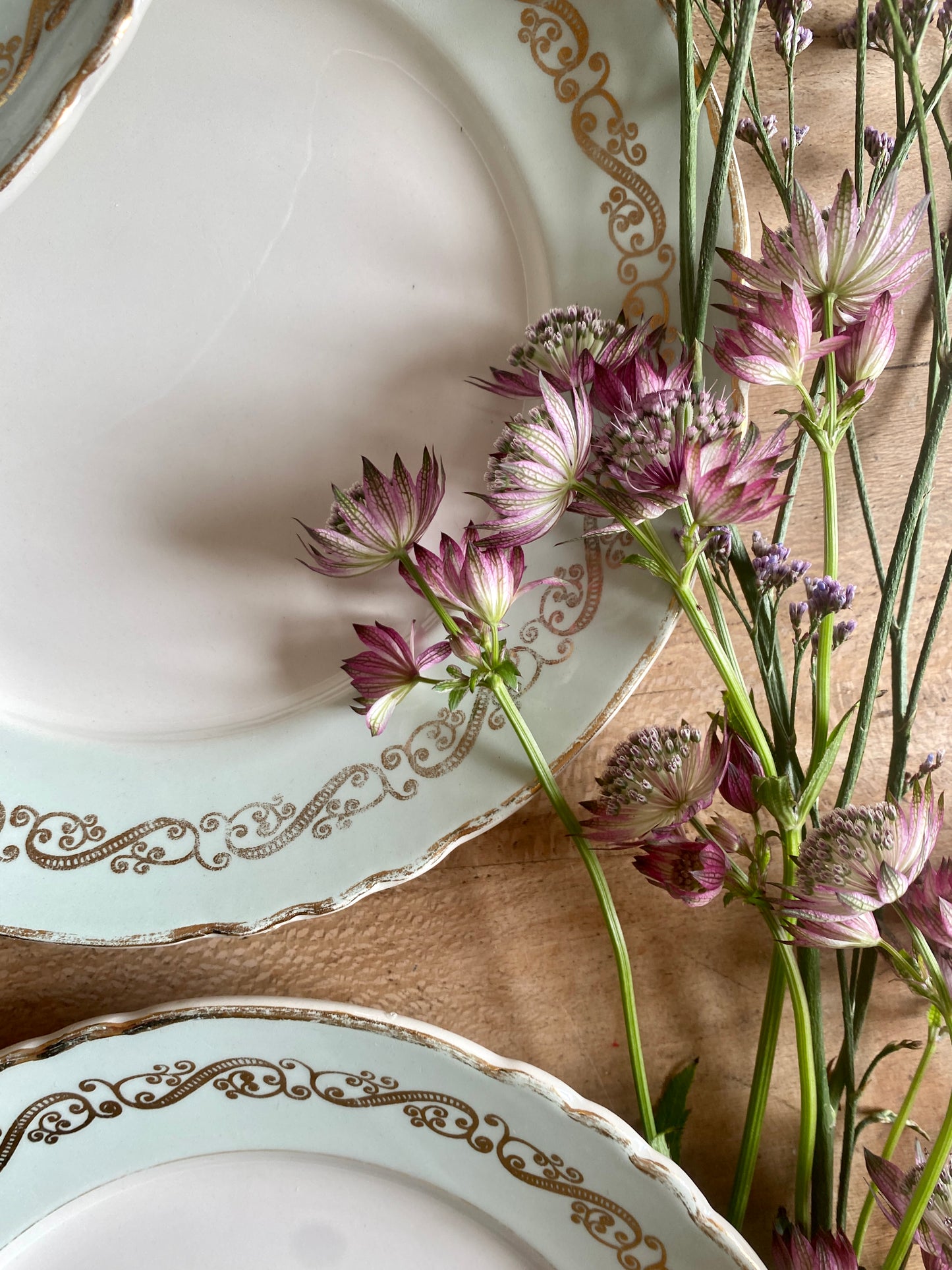 Lot de 6 assiettes plates vintage mint et dorées