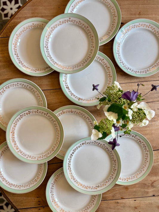 Lot de 12 assiettes plates blanches, mint et dorées, modèle Mosèle de Lunéville
