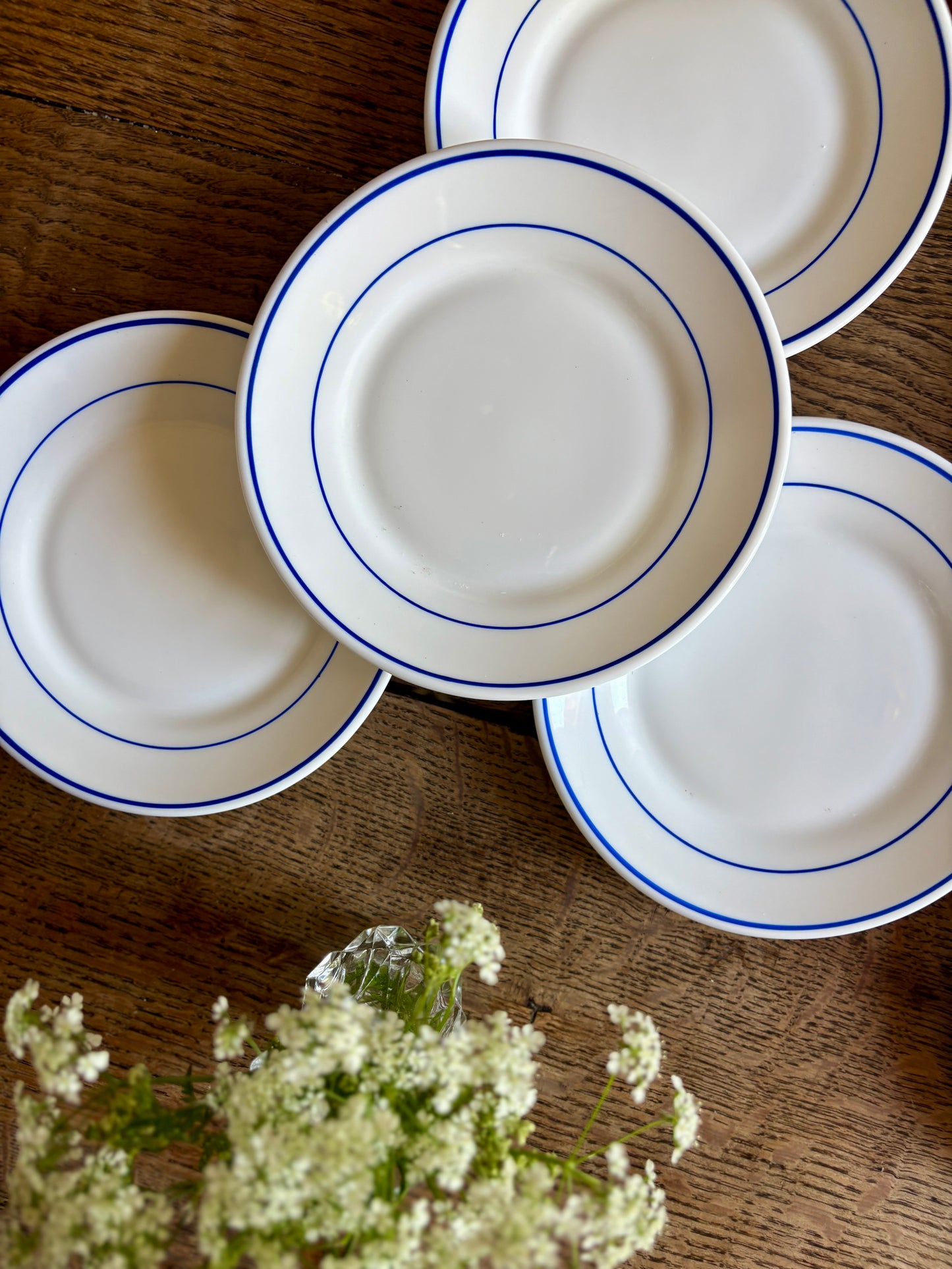 Lot de 6 assiettes à pain ou dessert Arcoroc