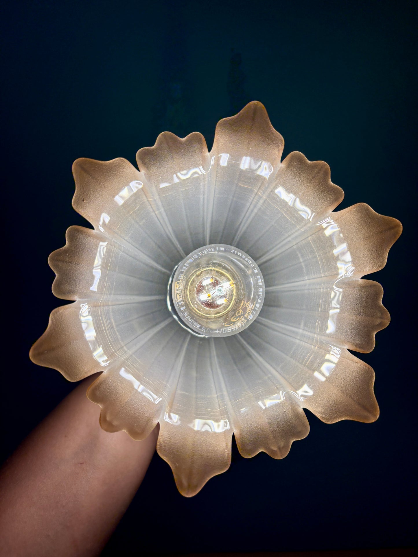 Applique tulipe vintage en verre dépoli blanc et brun