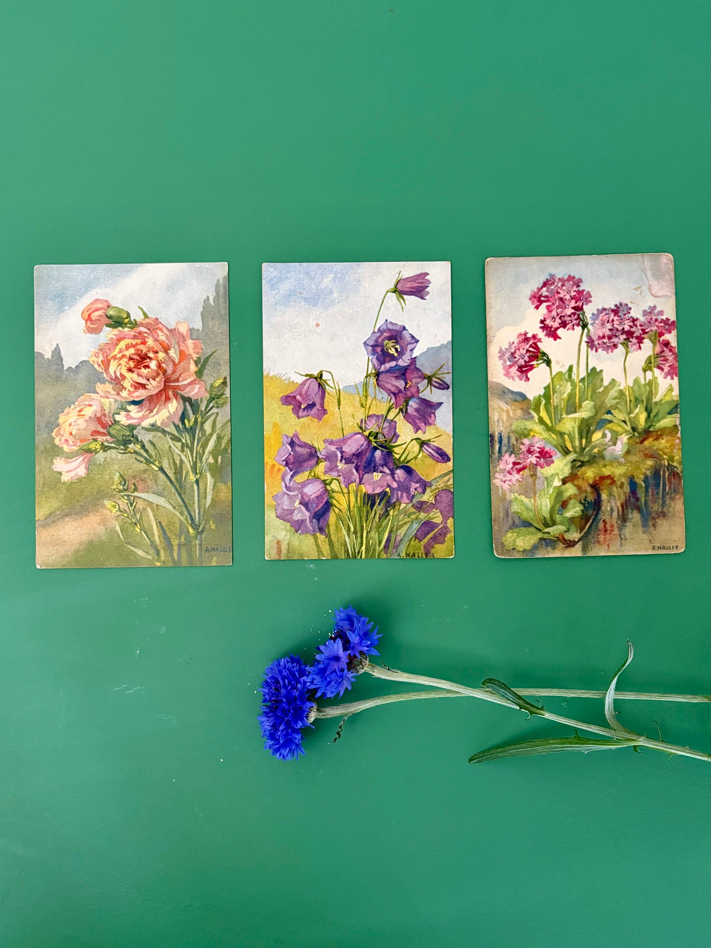 Lot de 3 cartes postales anciennes