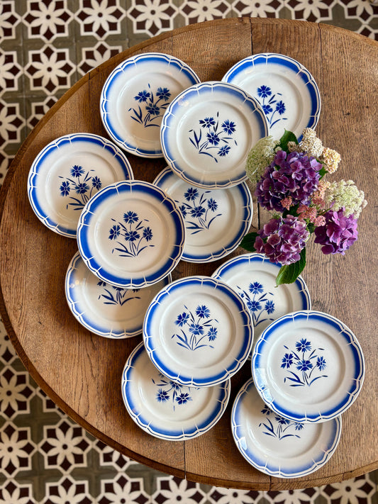 Lot de 12 assiettes plates anciennes, décors de fleurs bleues