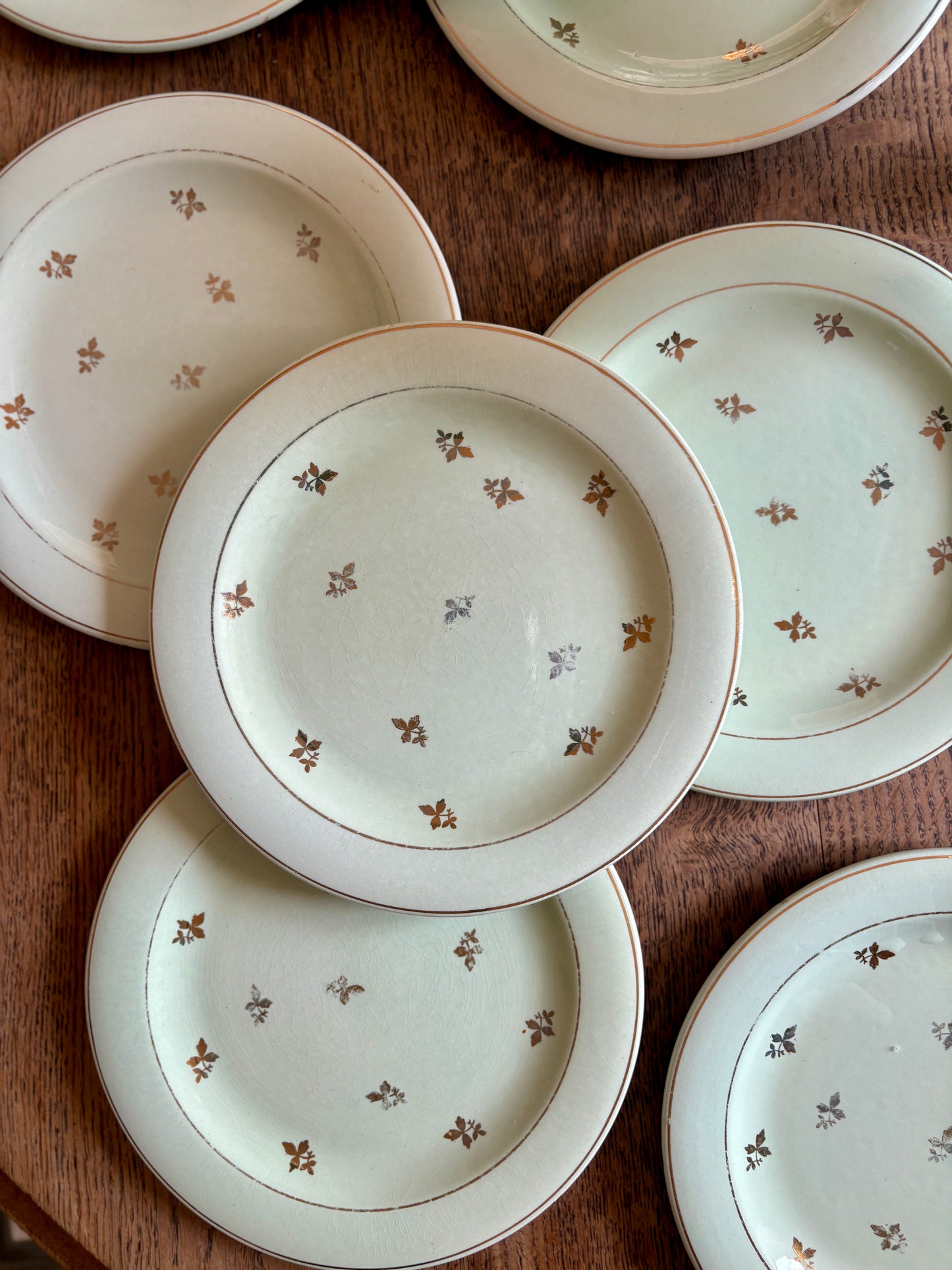 Lot de 10 assiettes vintage à dessert verts pâles et dorées - Salins