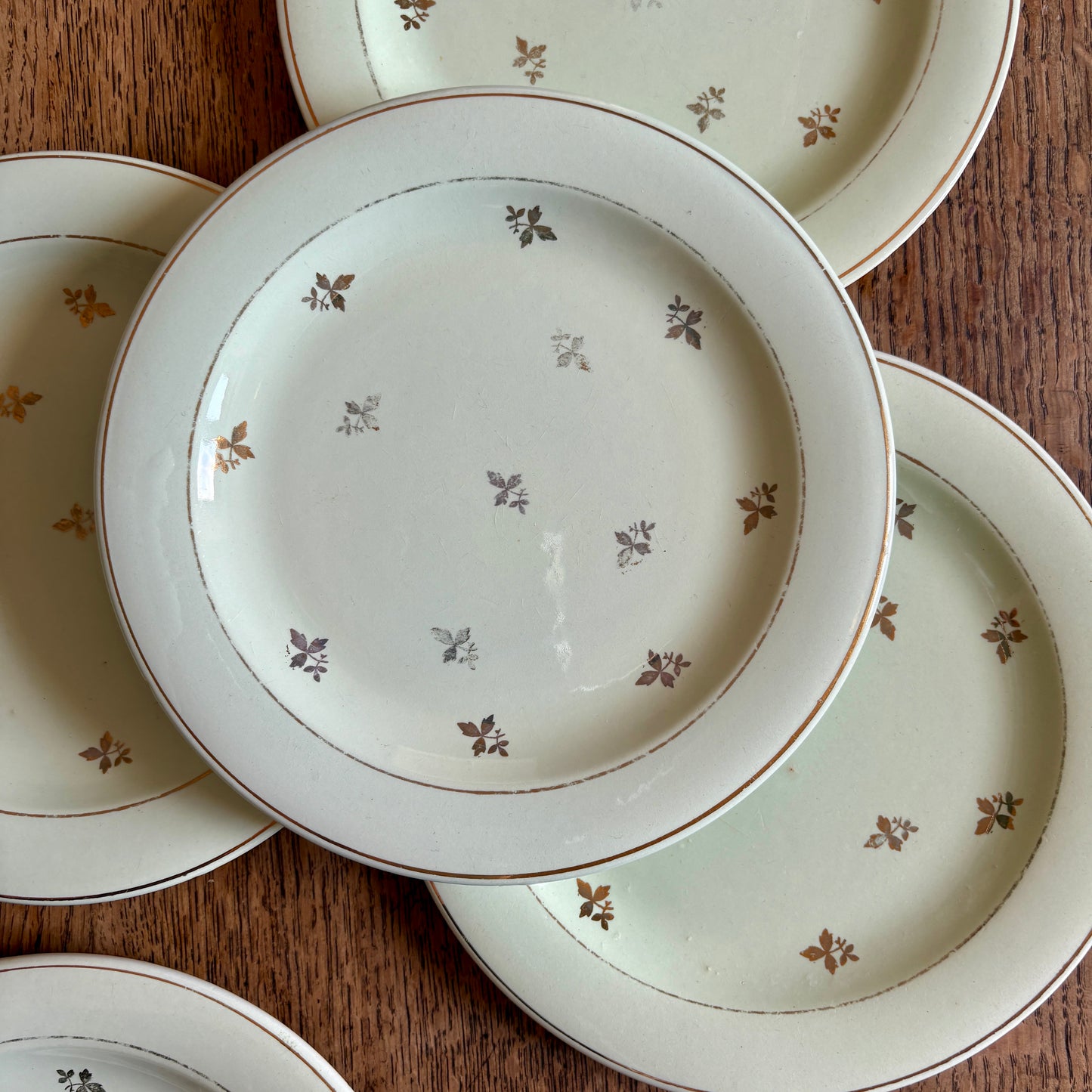 Lot de 10 assiettes vintage à dessert verts pâles et dorées - Salins