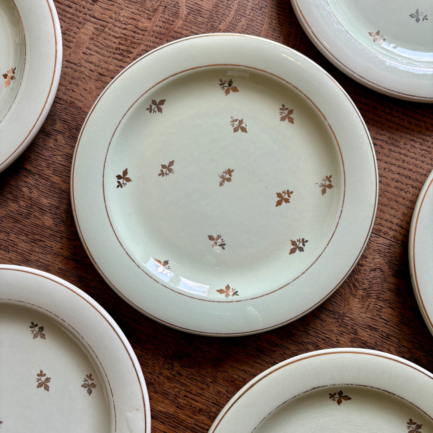 Lot de 10 assiettes vintage à dessert verts pâles et dorées - Salins