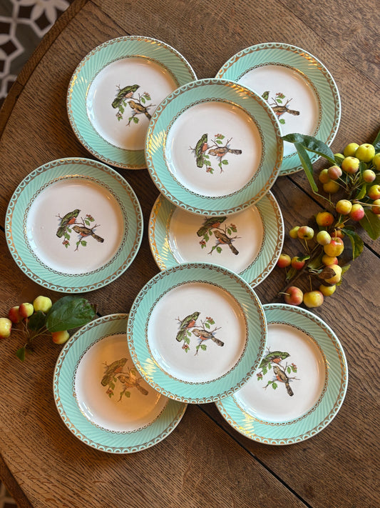Lot de 8 assiettes à dessert vintage décors d'oiseaux