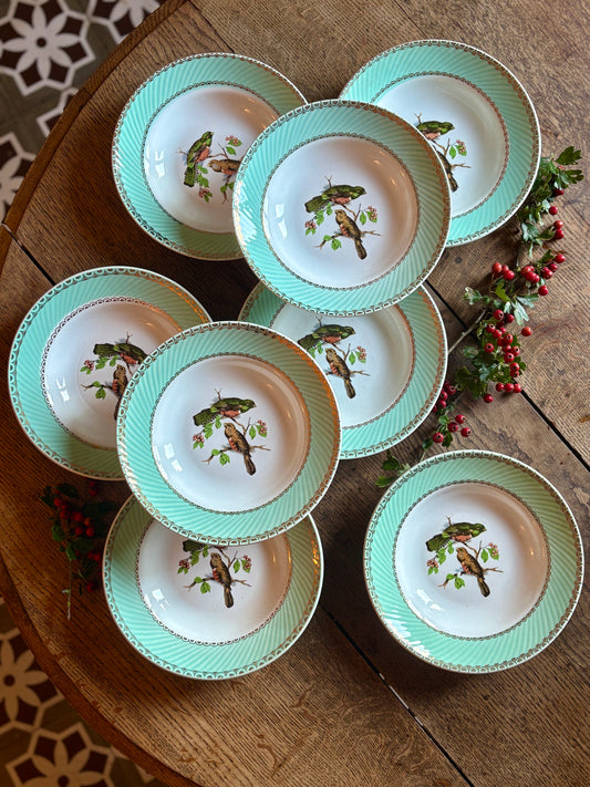 Lot de 8 assiettes creuses vintage décors d'oiseaux