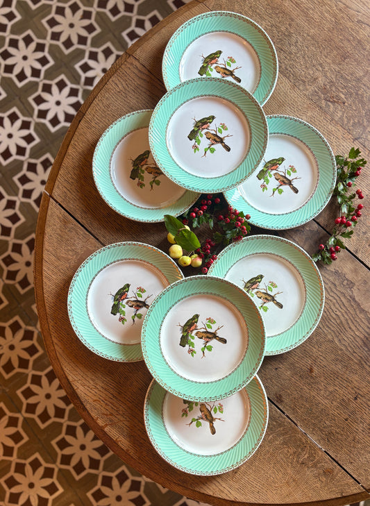 Lot de 8 assiettes plates vintage décors d'oiseaux