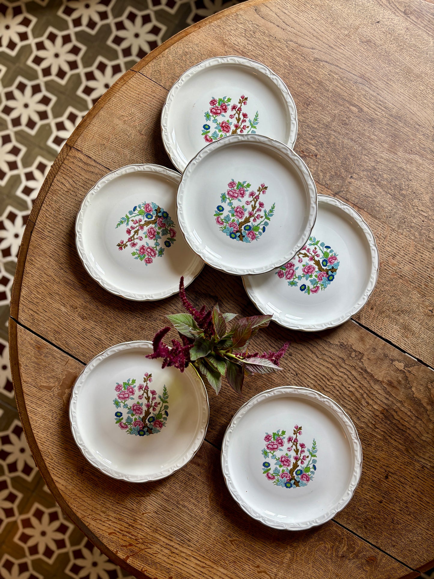 Lot de 6 assiettes plates vintage, modèle "Arbre indien" de Digoin