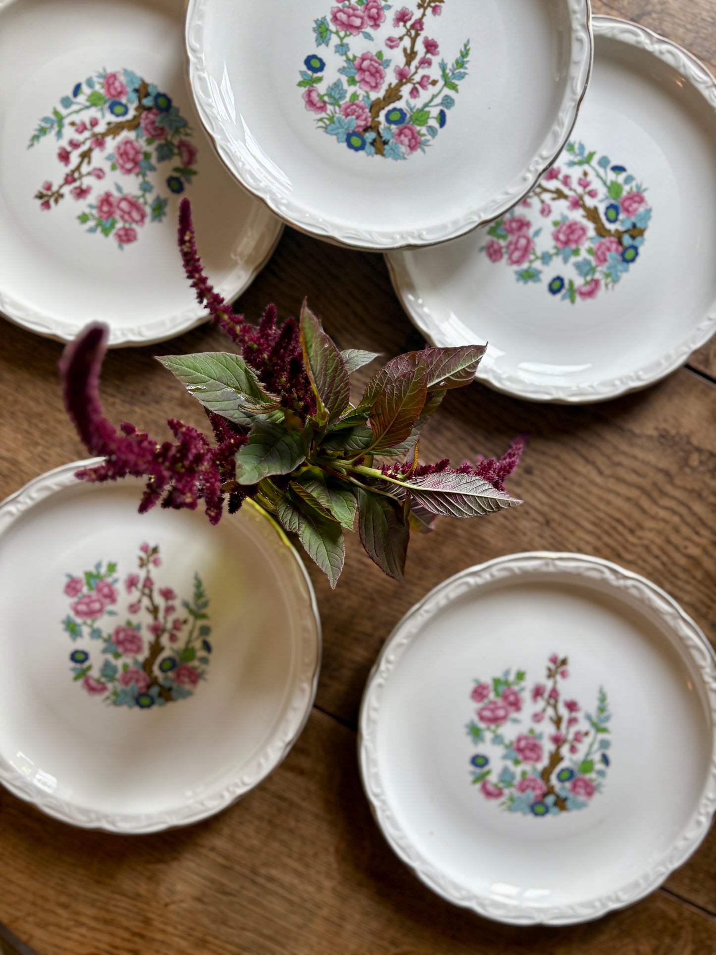 Lot de 6 assiettes plates vintage, modèle "Arbre indien" de Digoin