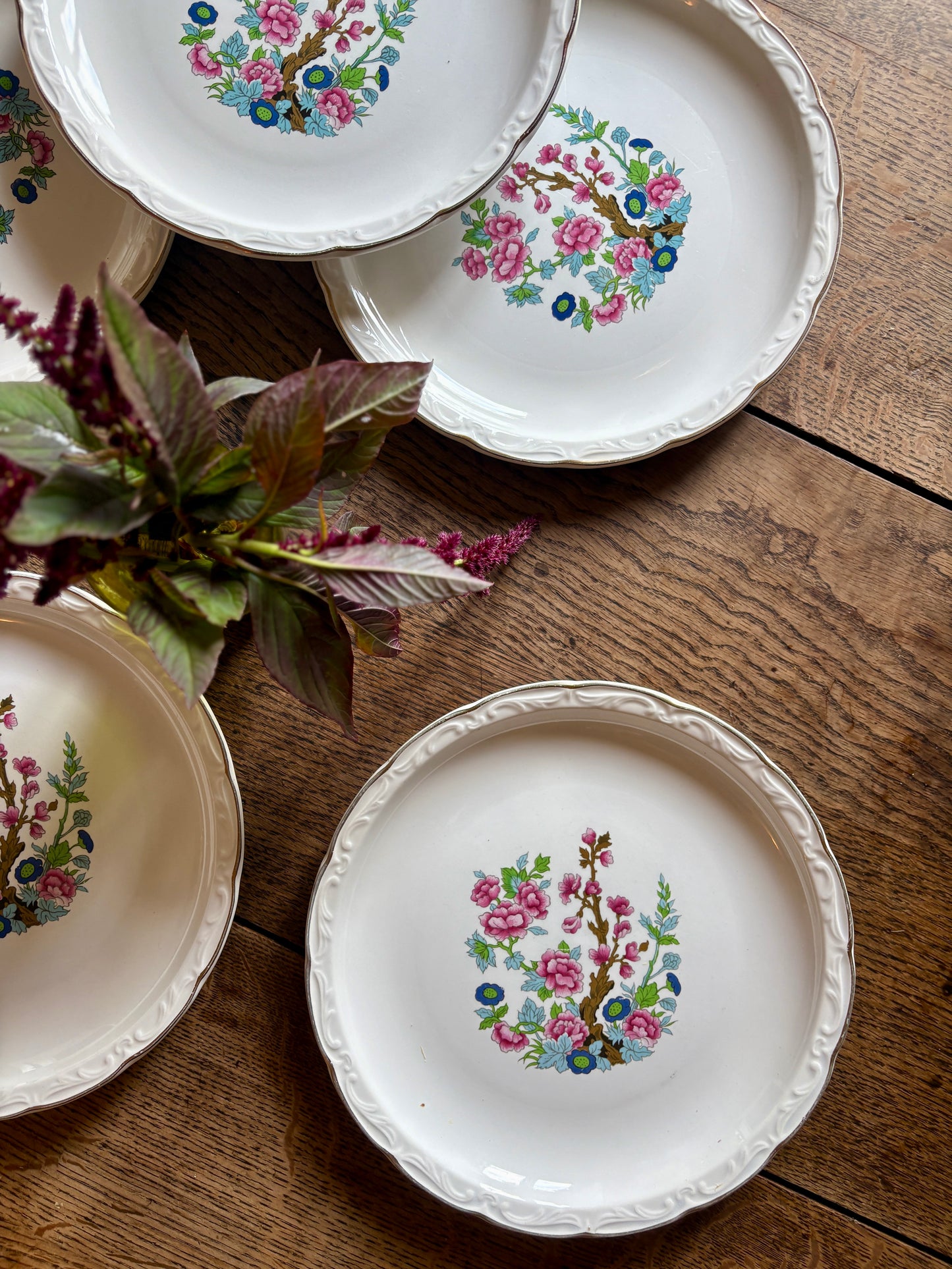 Lot de 6 assiettes plates vintage, modèle "Arbre indien" de Digoin