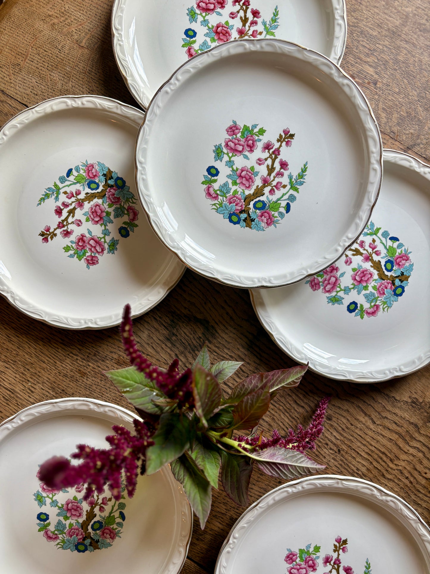 Lot de 6 assiettes plates vintage, modèle "Arbre indien" de Digoin