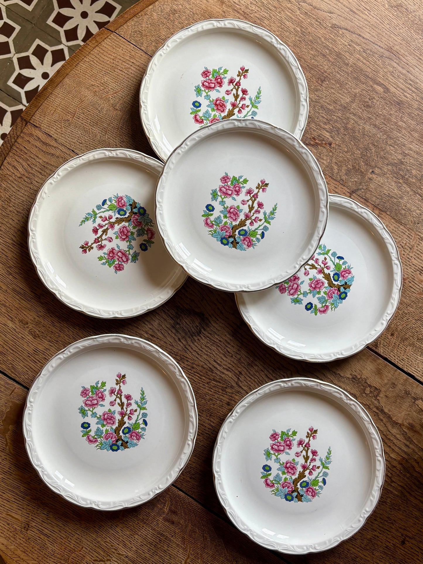 Lot de 6 assiettes plates vintage, modèle "Arbre indien" de Digoin