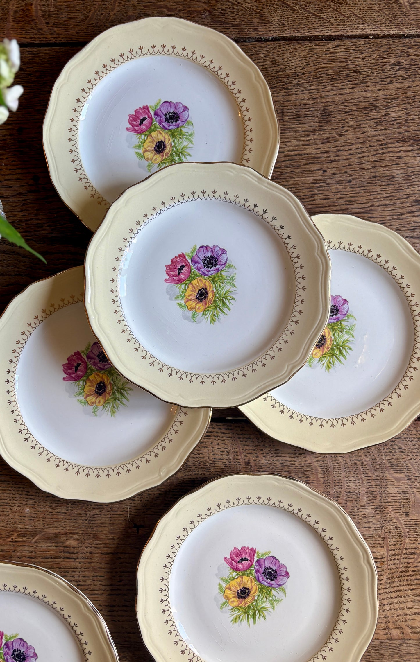 Lot de 6 assiettes à dessert vintage modèle Coopélia - L'Amandinoise