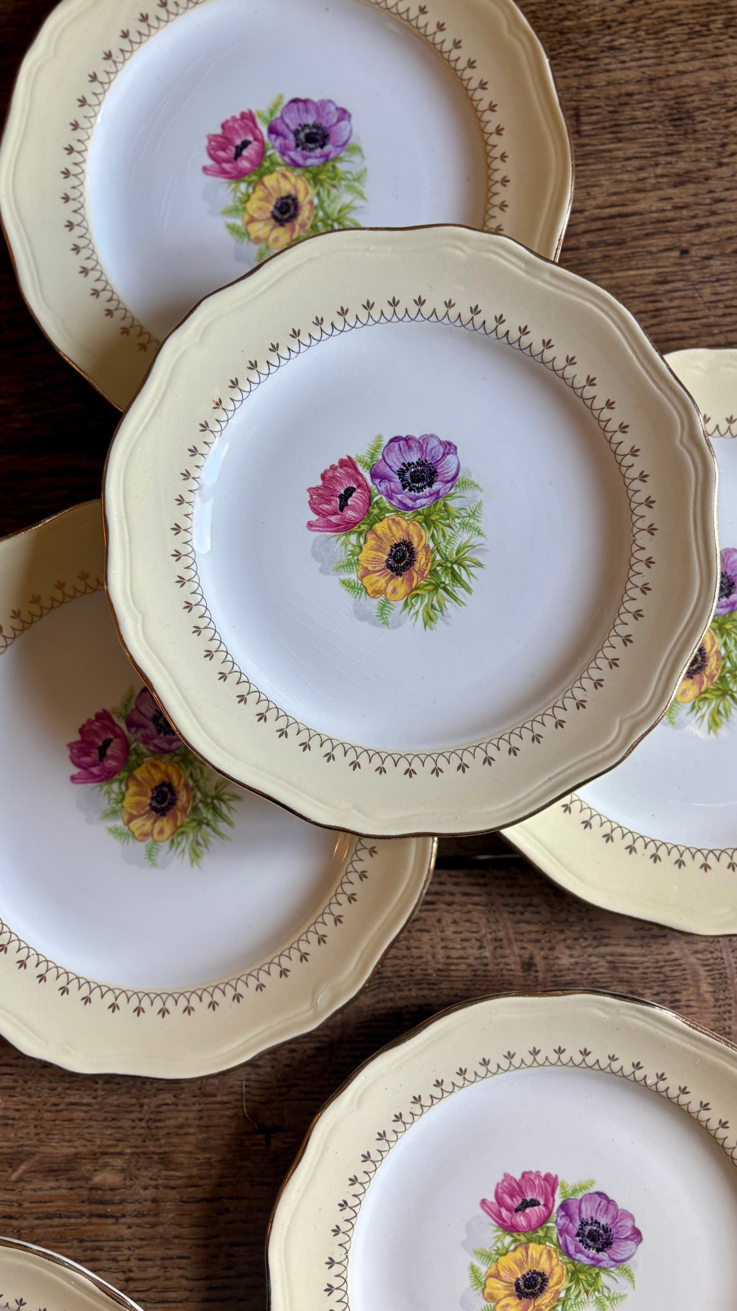 Lot de 6 assiettes à dessert vintage modèle Coopélia - L'Amandinoise