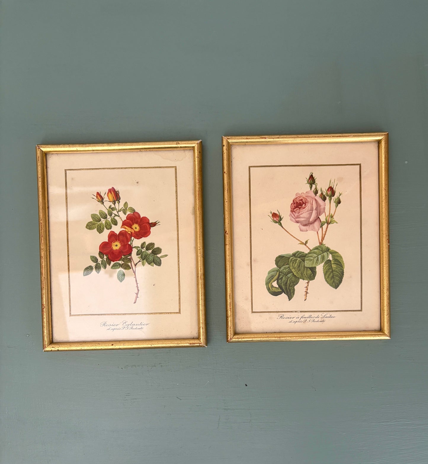 Lot de deux cadres vintage - les rose de Redouté -