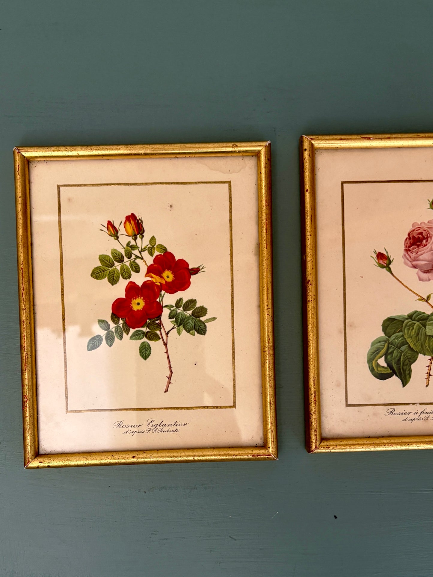 Lot de deux cadres vintage - les rose de Redouté -