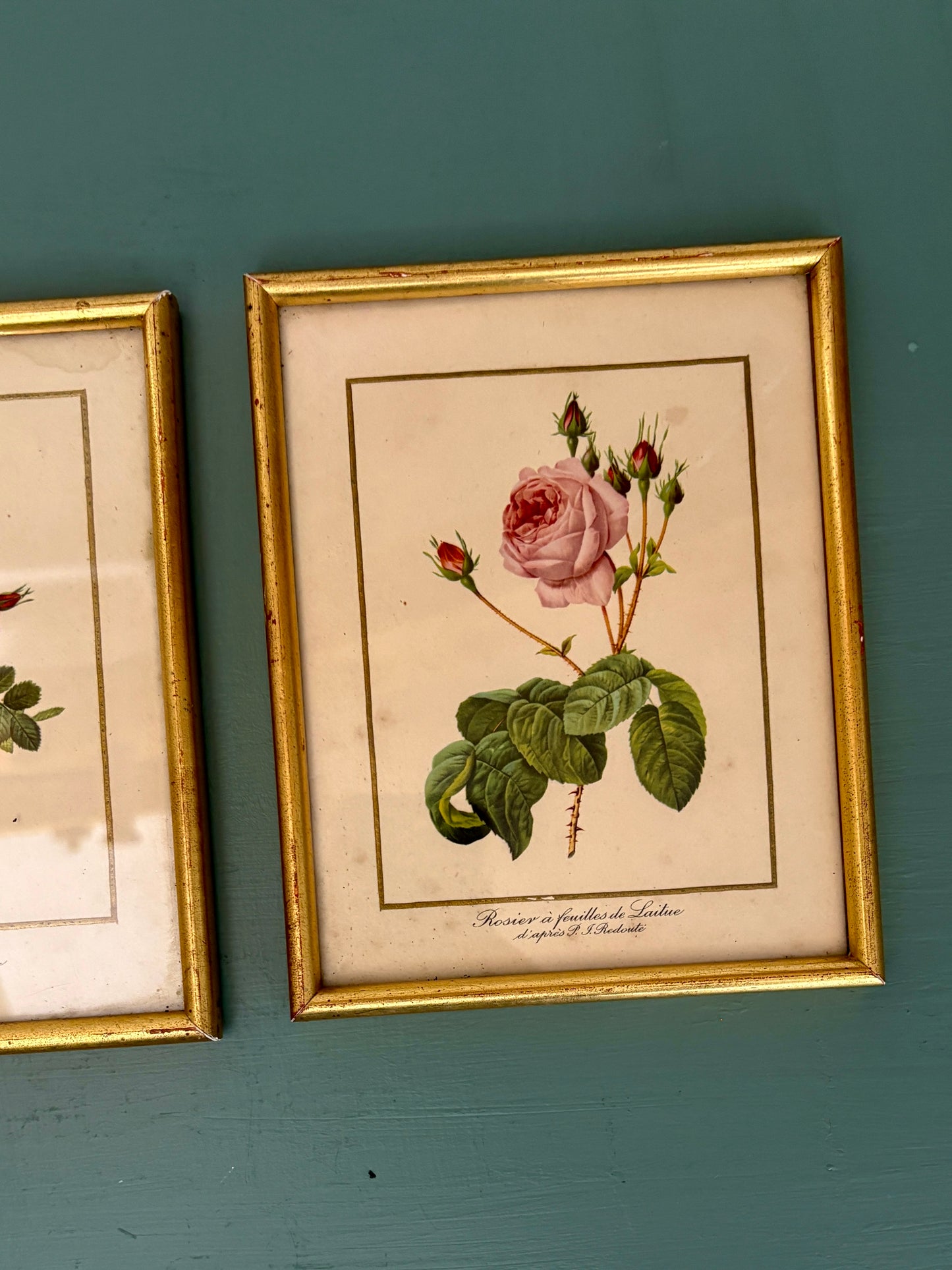 Lot de deux cadres vintage - les rose de Redouté -