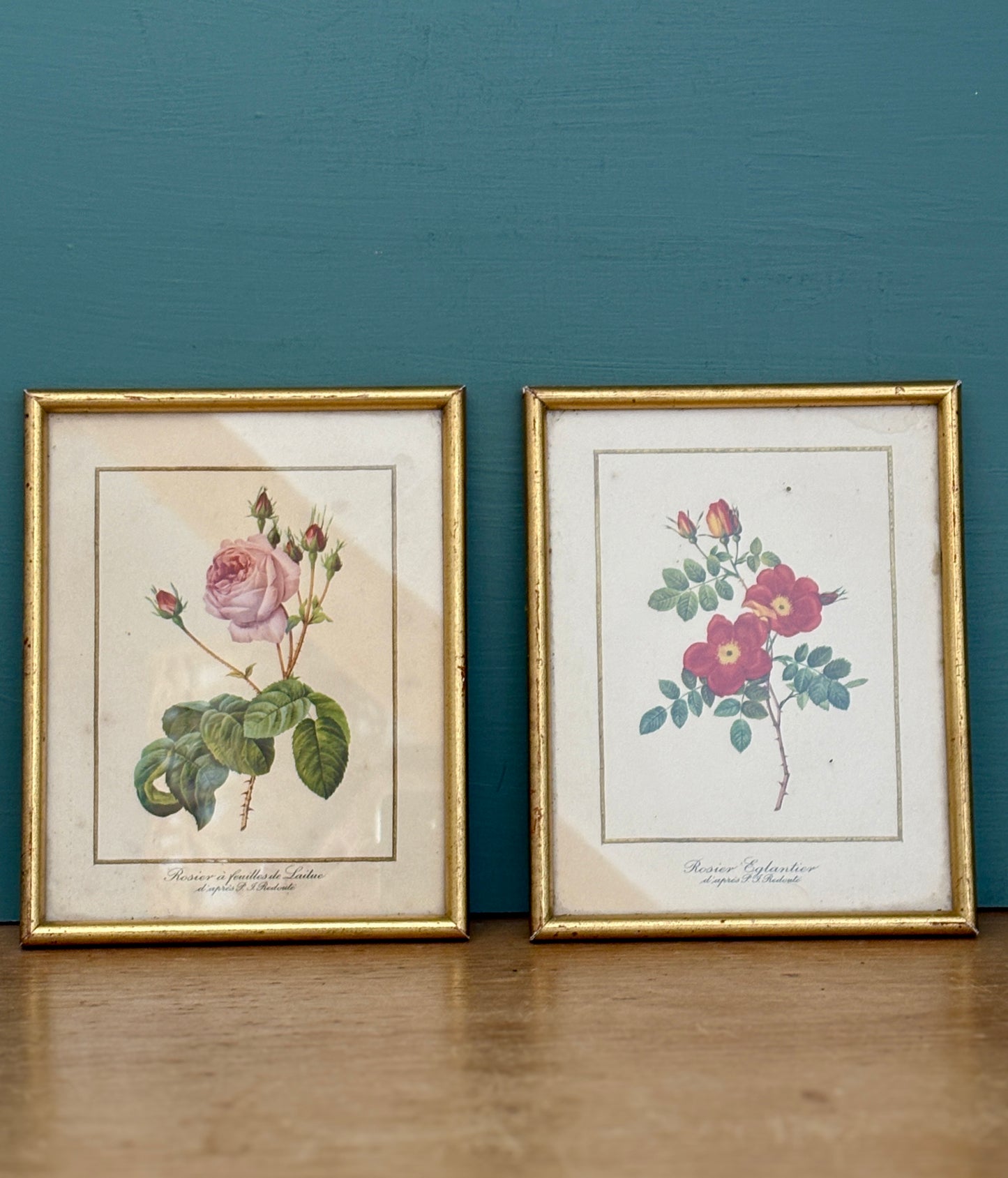 Lot de deux cadres vintage - les rose de Redouté -