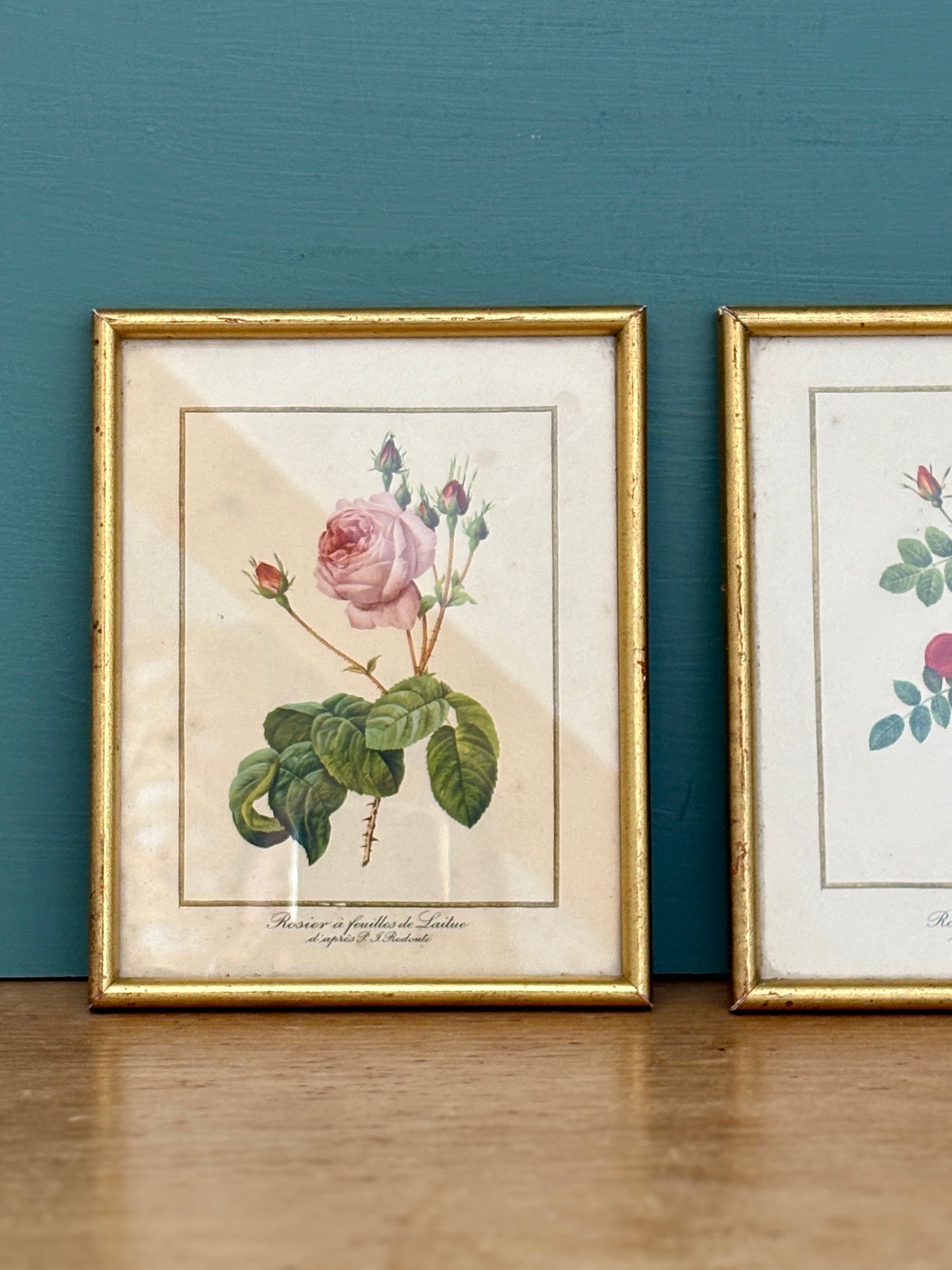 Lot de deux cadres vintage - les rose de Redouté -